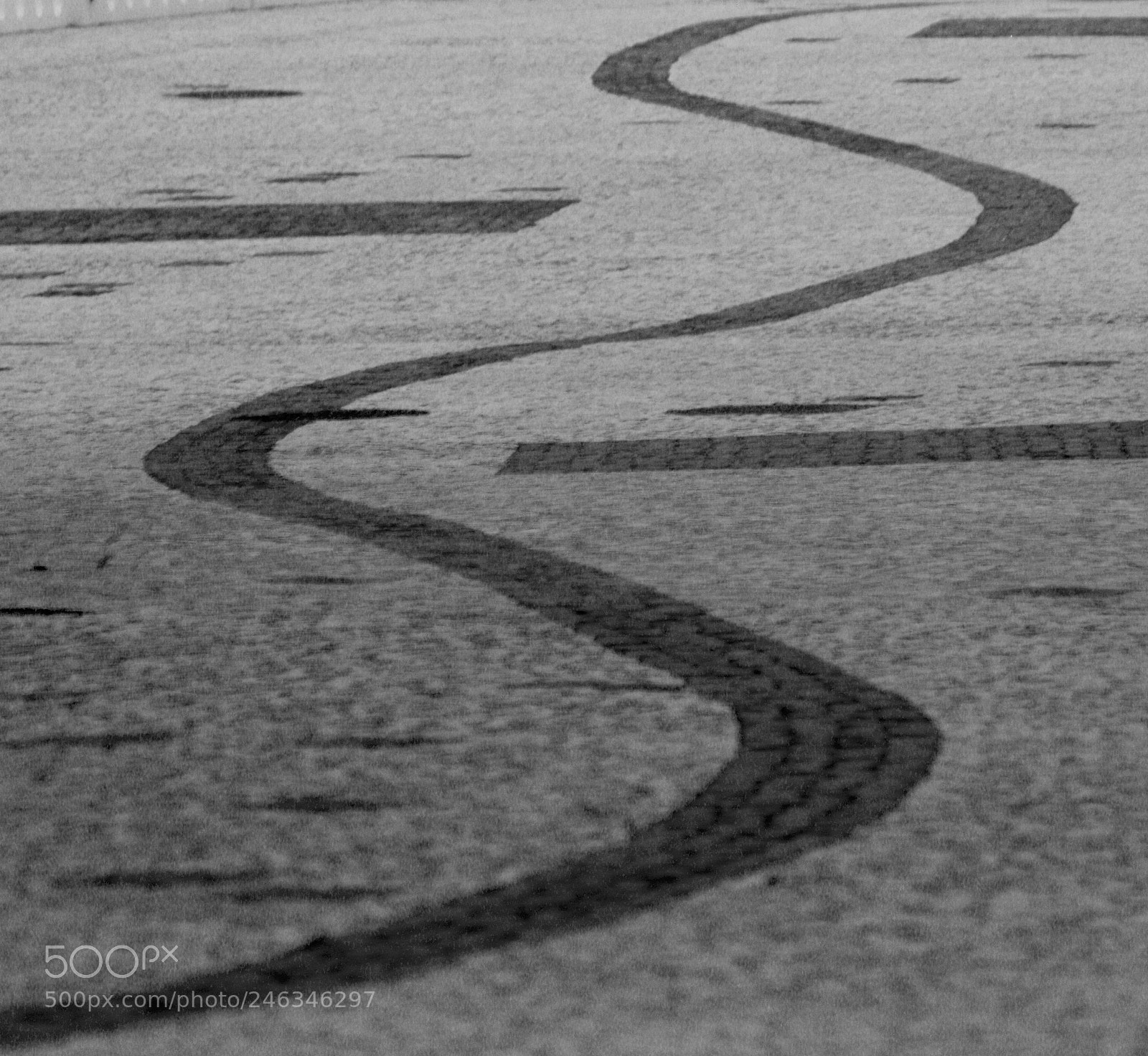 Canon EOS 450D (EOS Rebel XSi / EOS Kiss X2) sample photo. Follow the black line photography