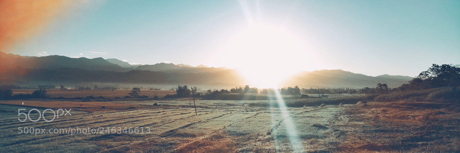 OPPO A1601 sample photo. Biking at mount sierra photography