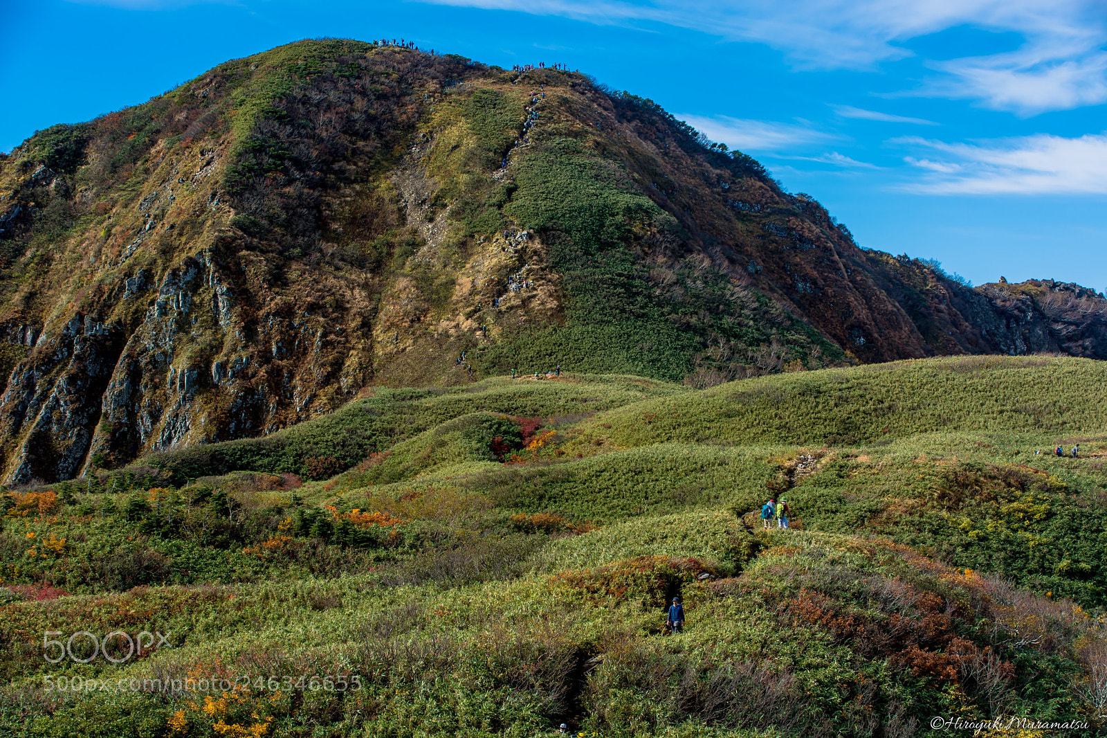 Nikon D7100 sample photo. 20171008-255_-2.jpg photography