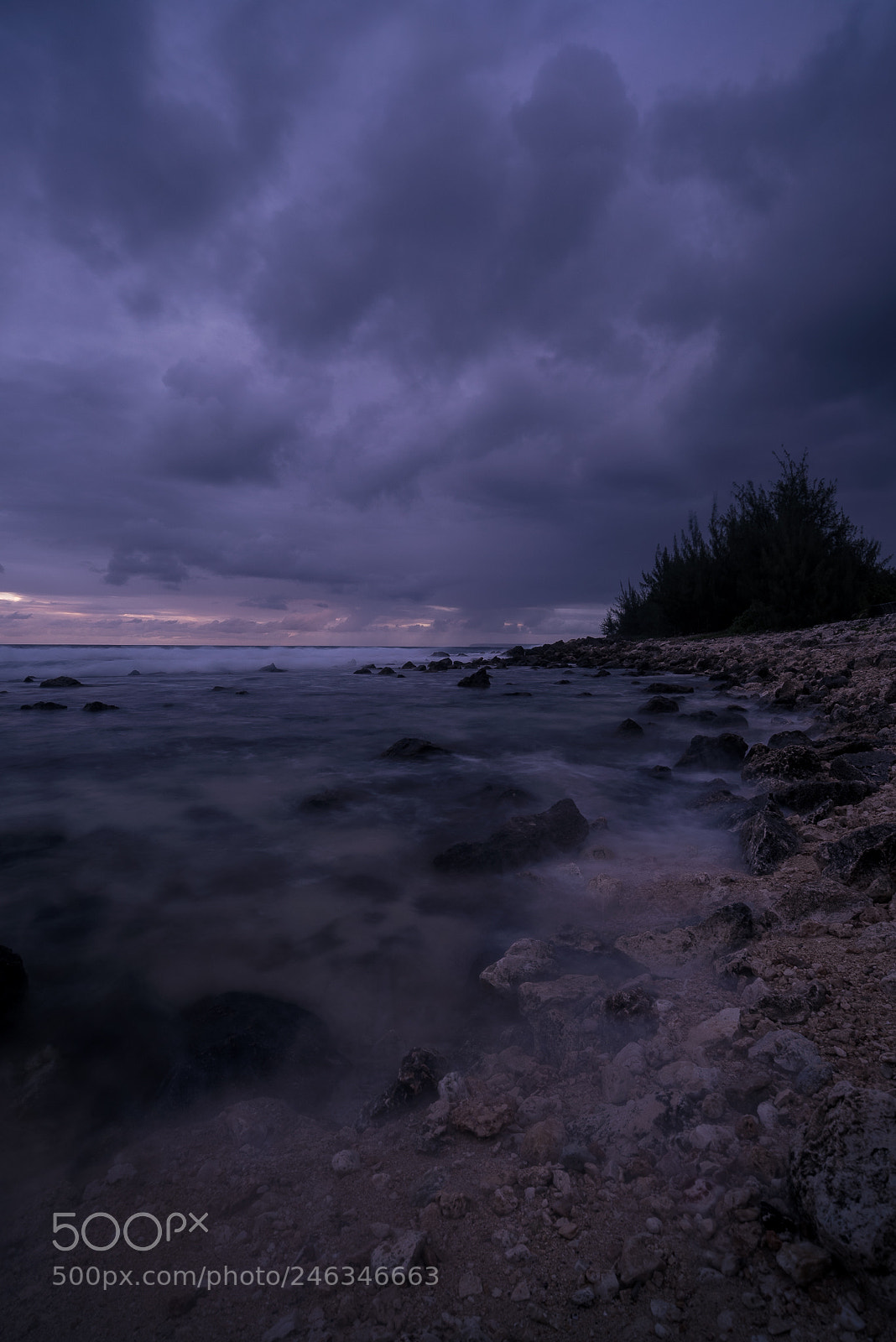 Nikon D810 sample photo. Dark night photography