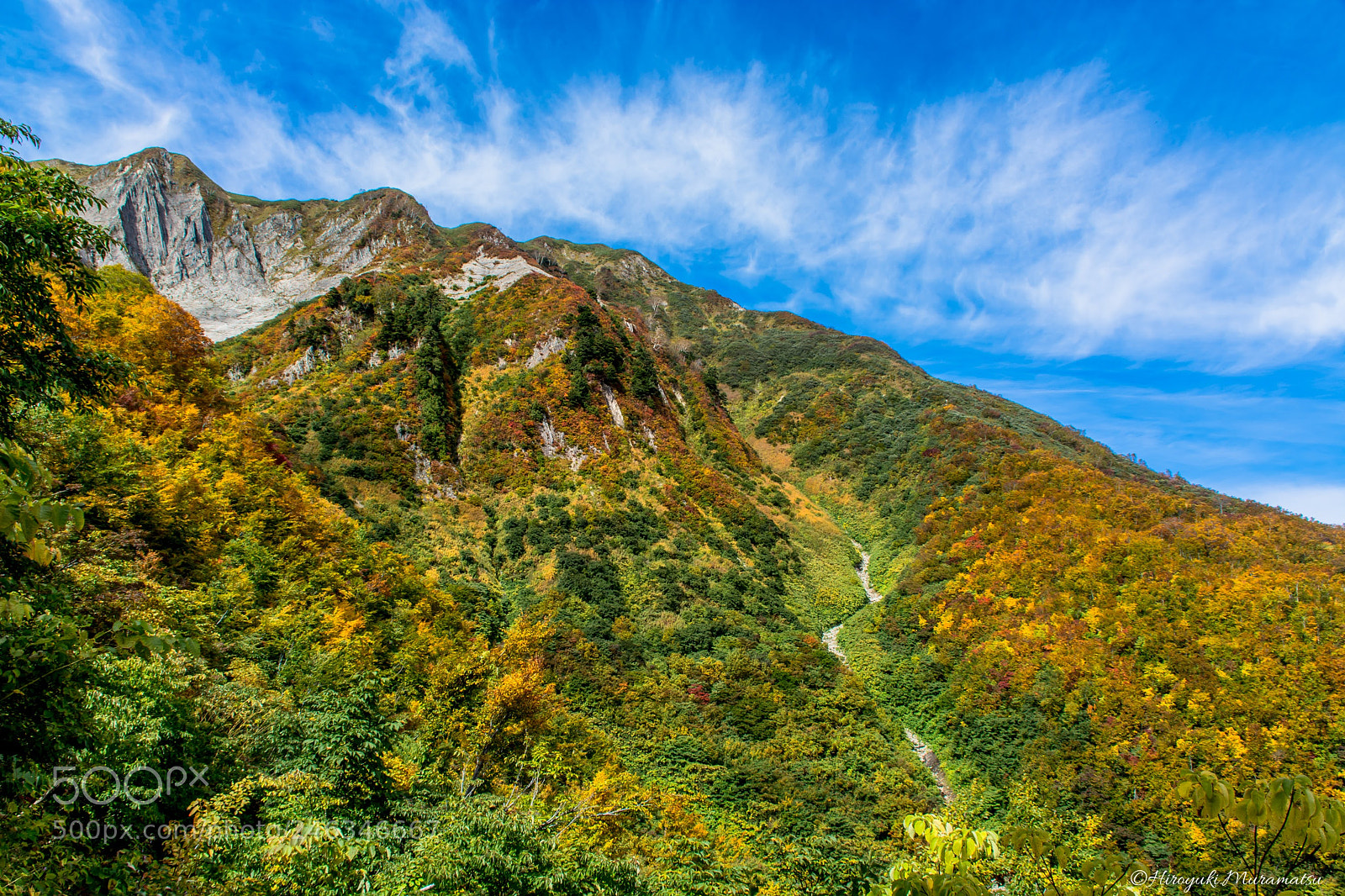 Nikon D7100 sample photo. 20171008-356_-2.jpg photography