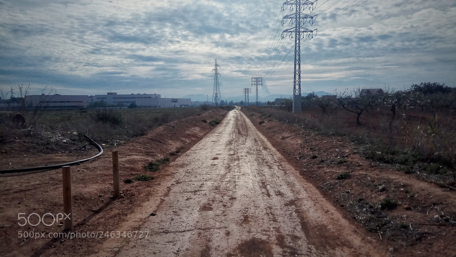 Xiaomi Redmi Note 4 sample photo. Via verde photography