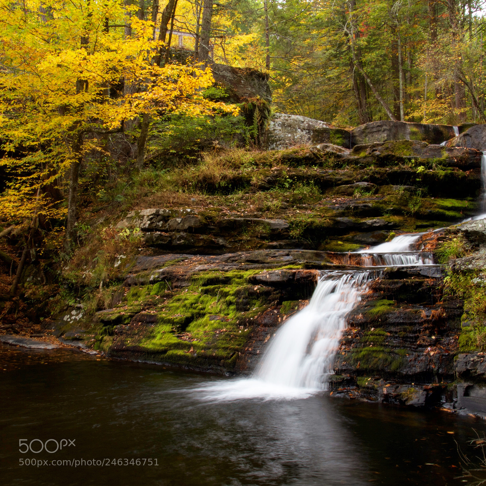 Canon EOS 7D sample photo. Fall colors photography