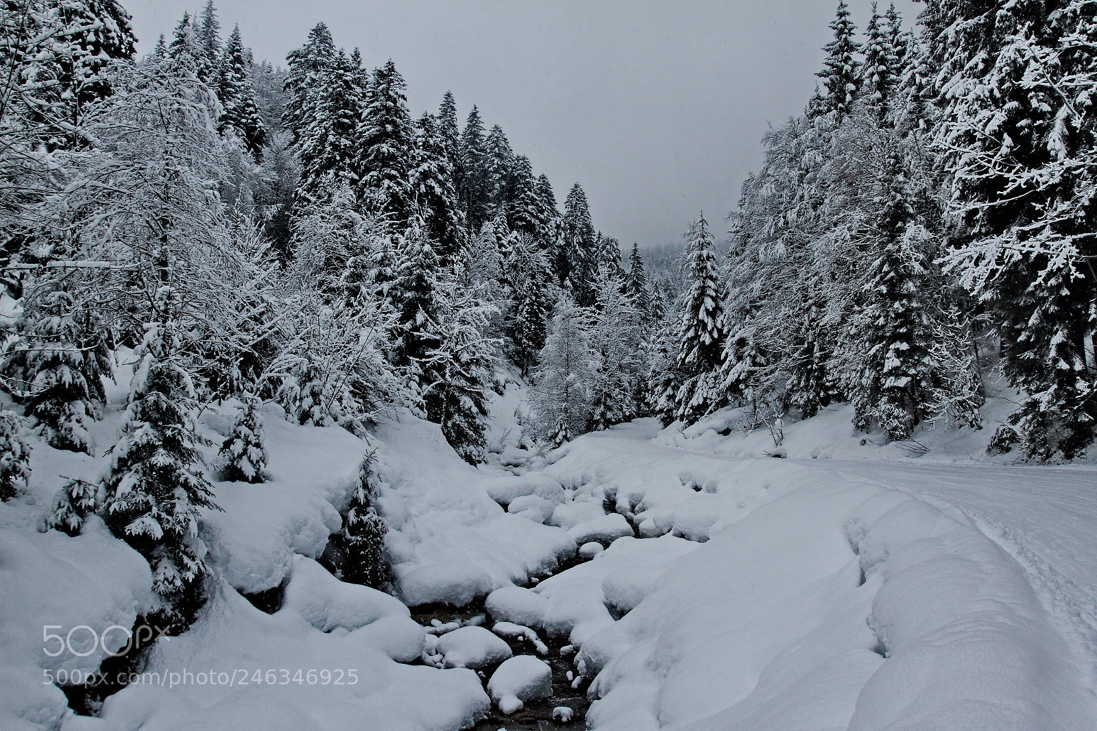 Canon EOS 7D sample photo. Snowy stream photography