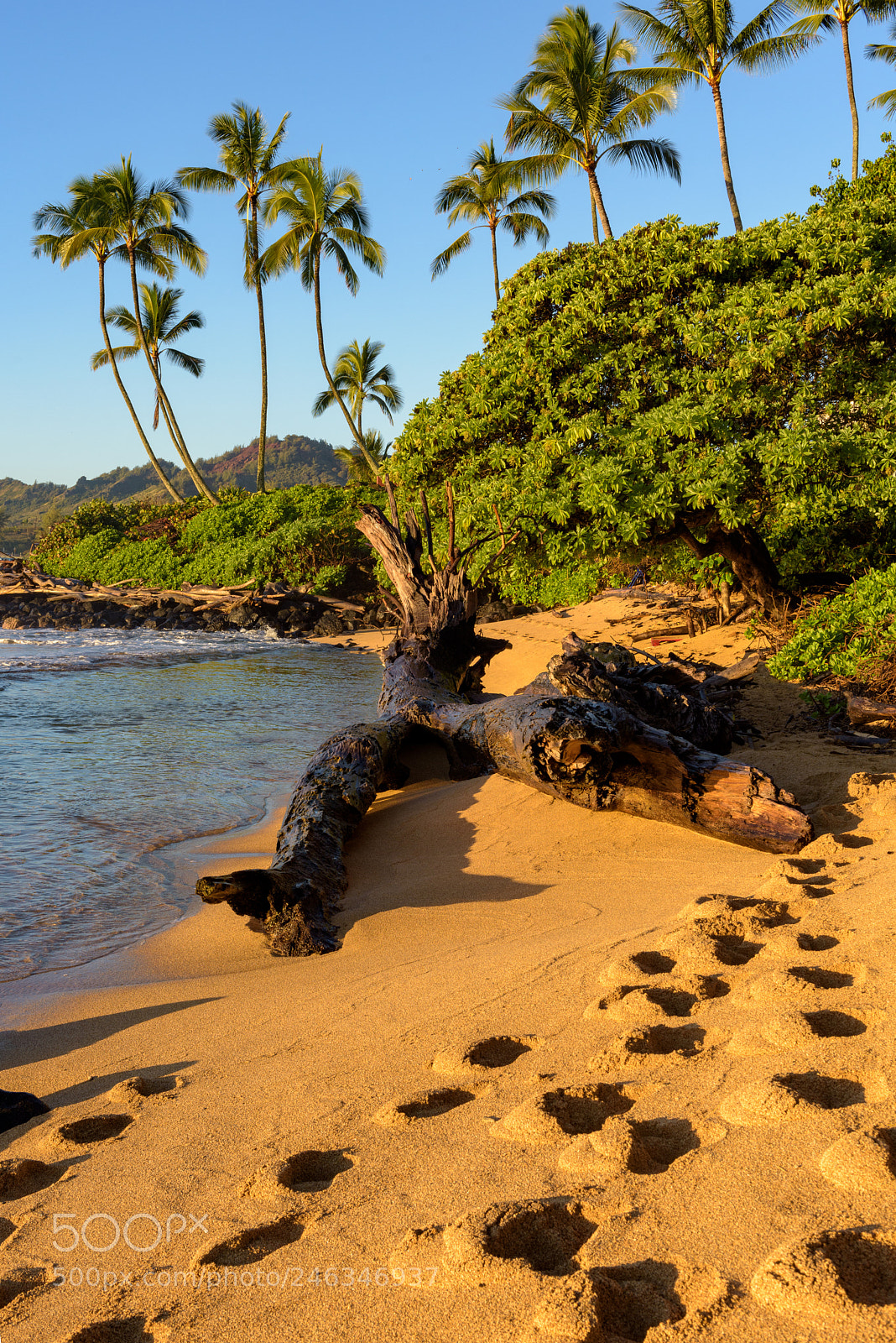 Nikon D810 sample photo. Footsteps photography
