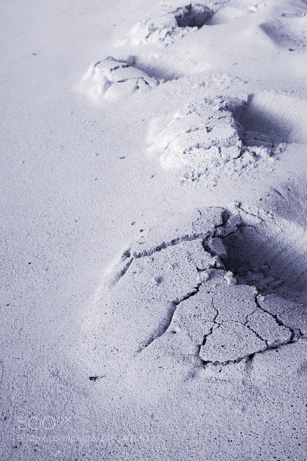 Nikon D810 sample photo. Cracks photography