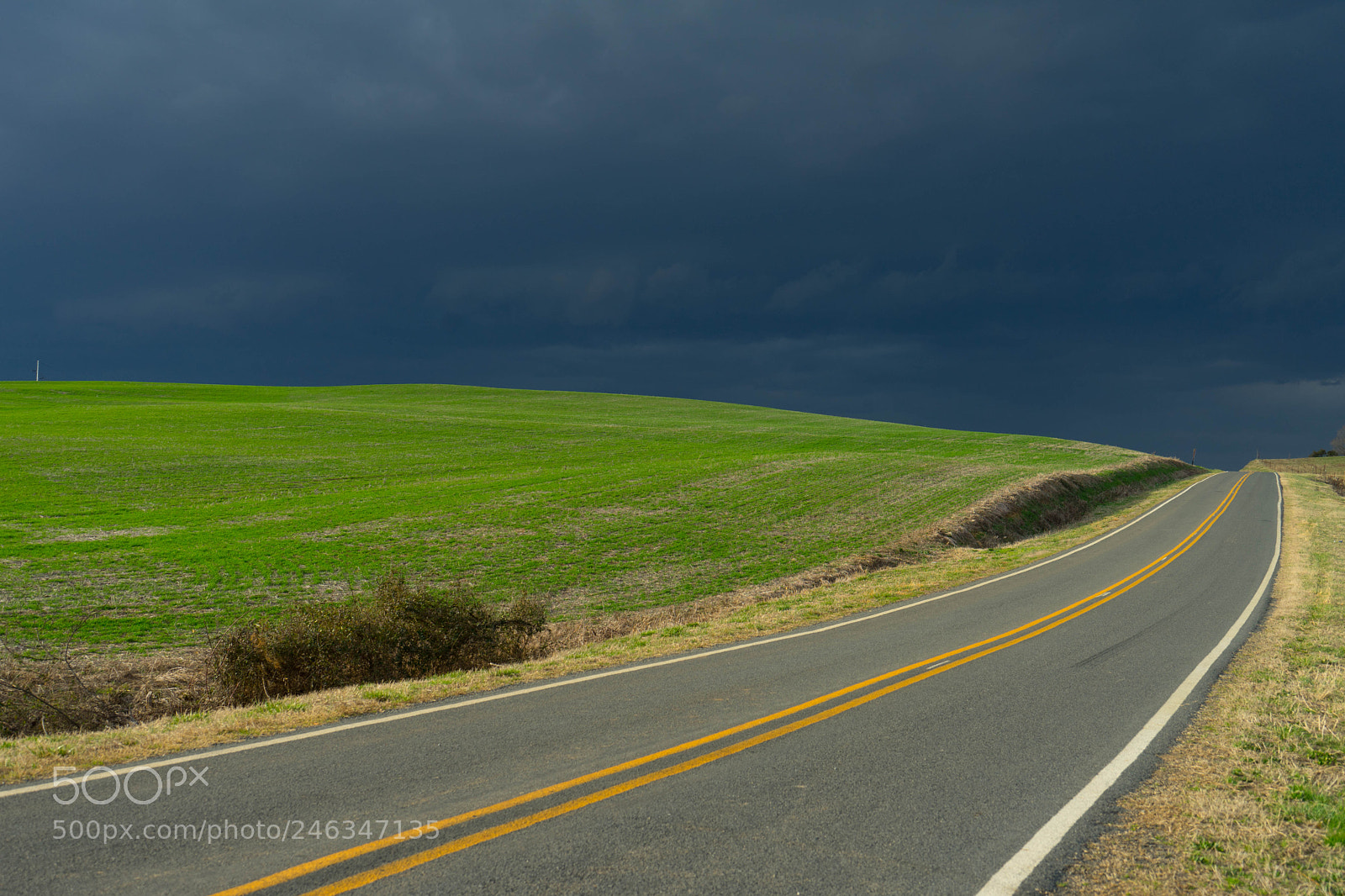 Sony a7 II sample photo. Long lonesome road home photography