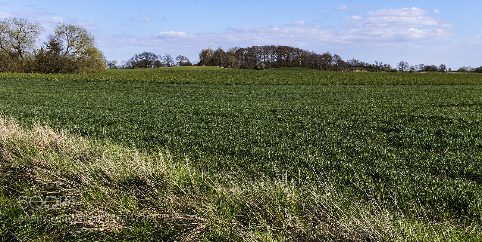 Canon EOS 7D Mark II sample photo. Green fields photography