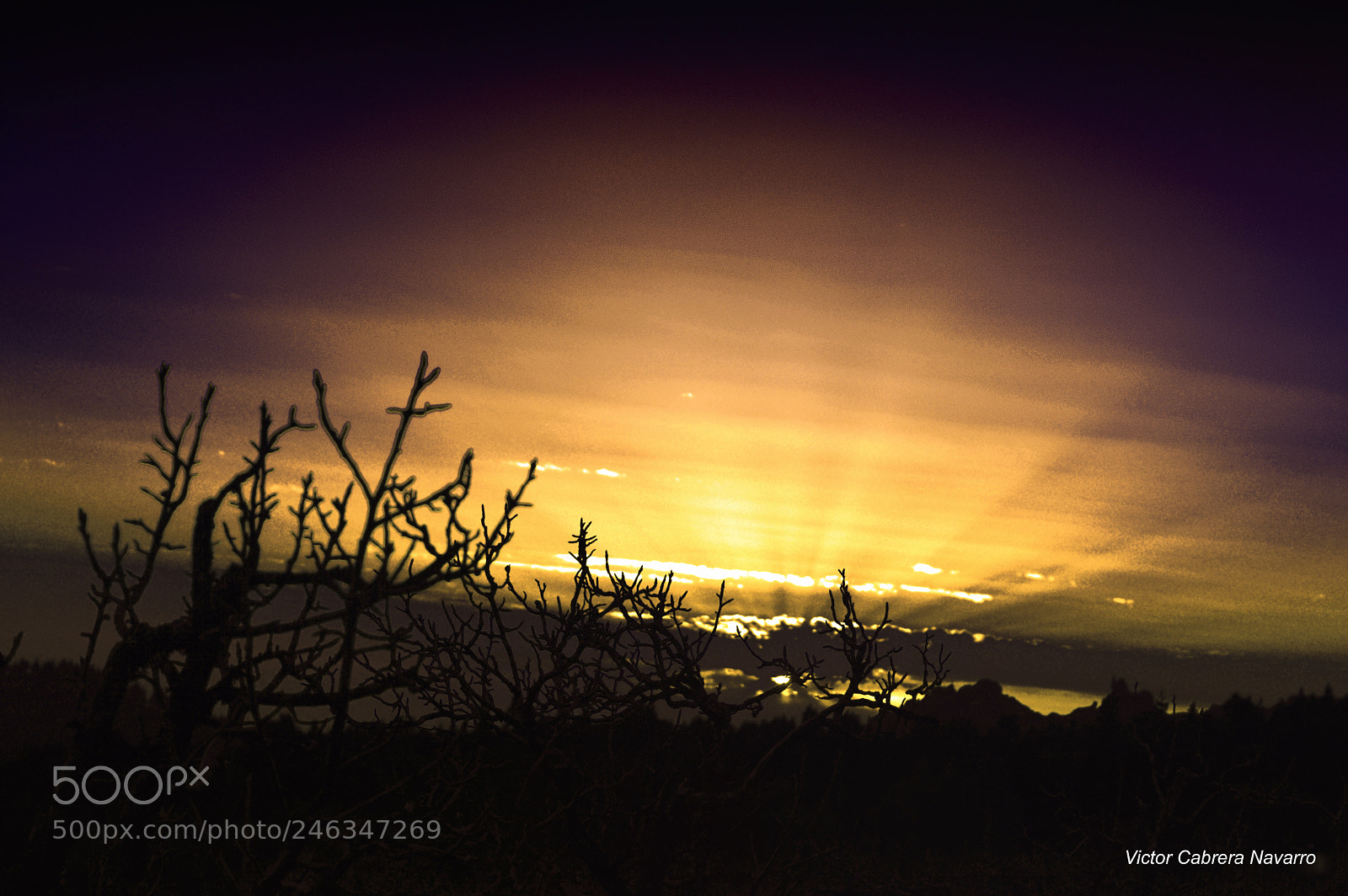 Nikon D3200 sample photo. Llanos de la pez photography