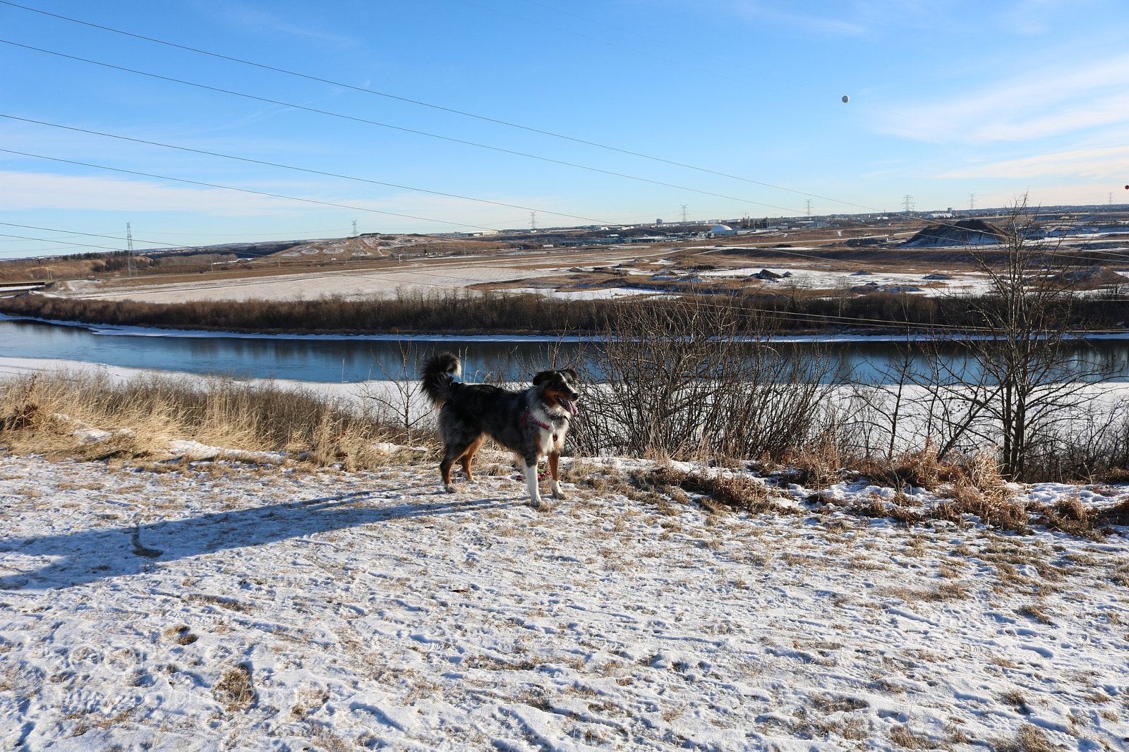 Canon EOS 750D (EOS Rebel T6i / EOS Kiss X8i) sample photo. A walk in the photography