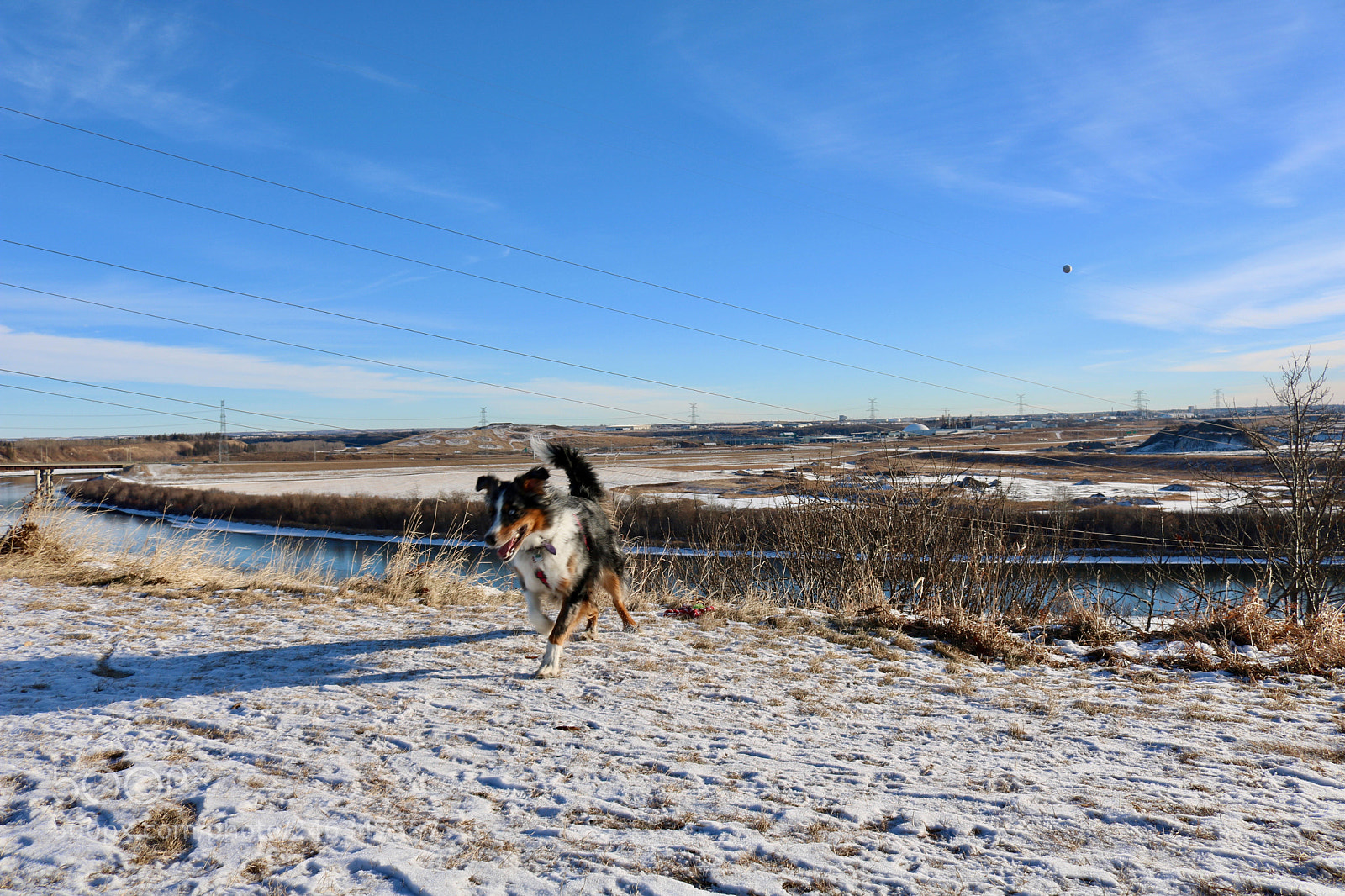 Canon EOS 750D (EOS Rebel T6i / EOS Kiss X8i) sample photo. A walk in the photography