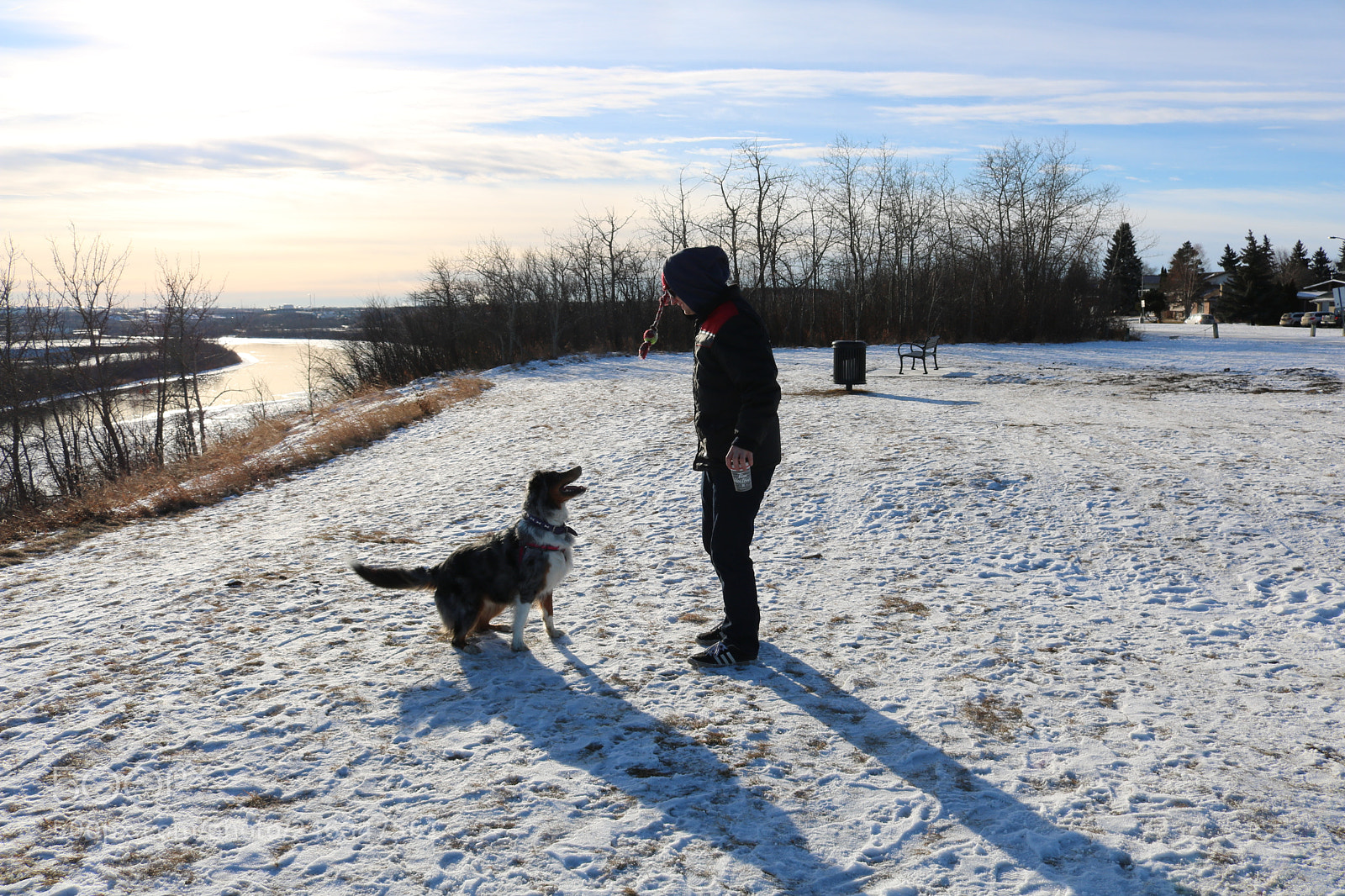 Canon EOS 750D (EOS Rebel T6i / EOS Kiss X8i) sample photo. A walk in the photography