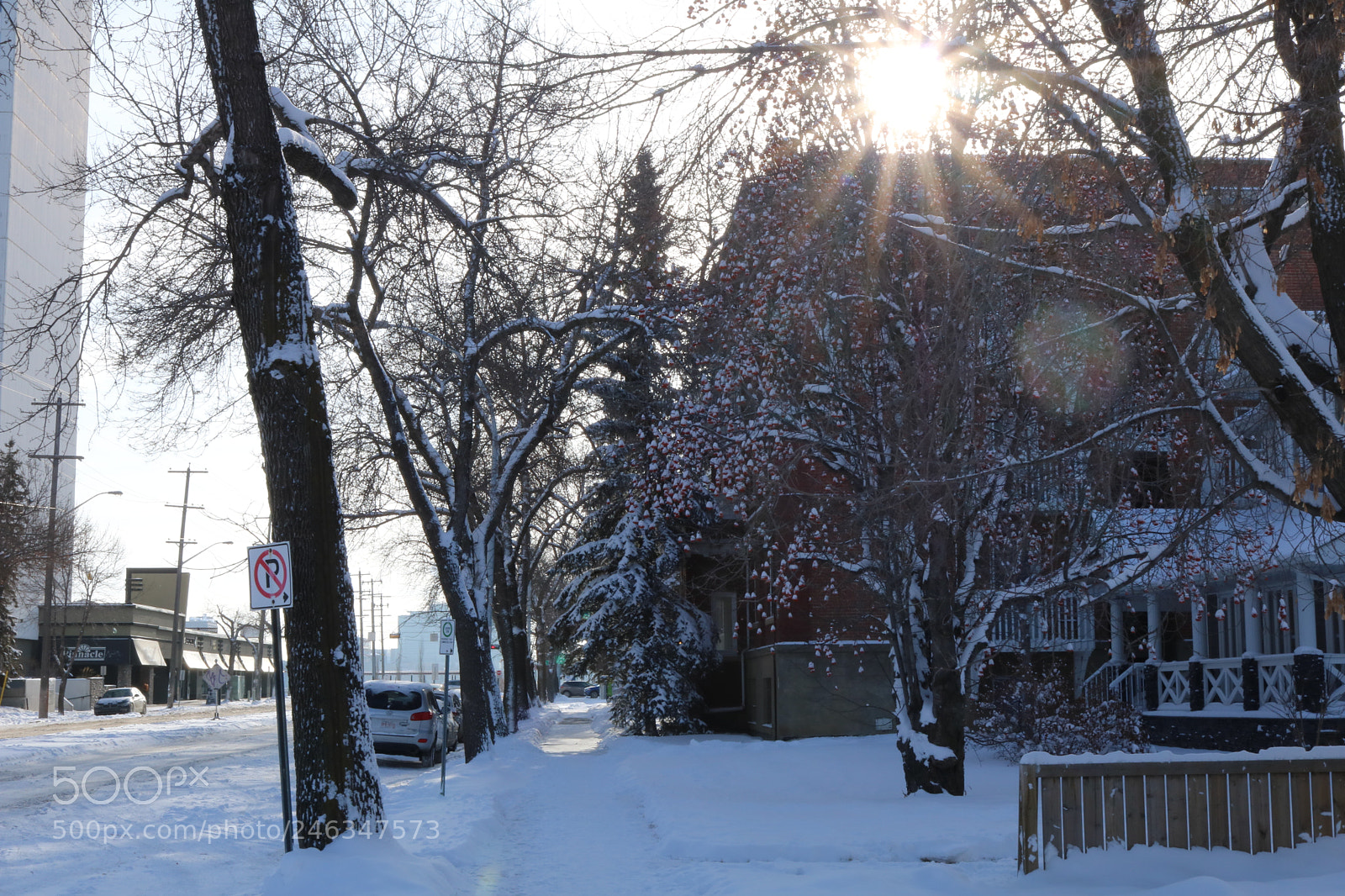 Canon EOS 750D (EOS Rebel T6i / EOS Kiss X8i) sample photo. A walk in the photography