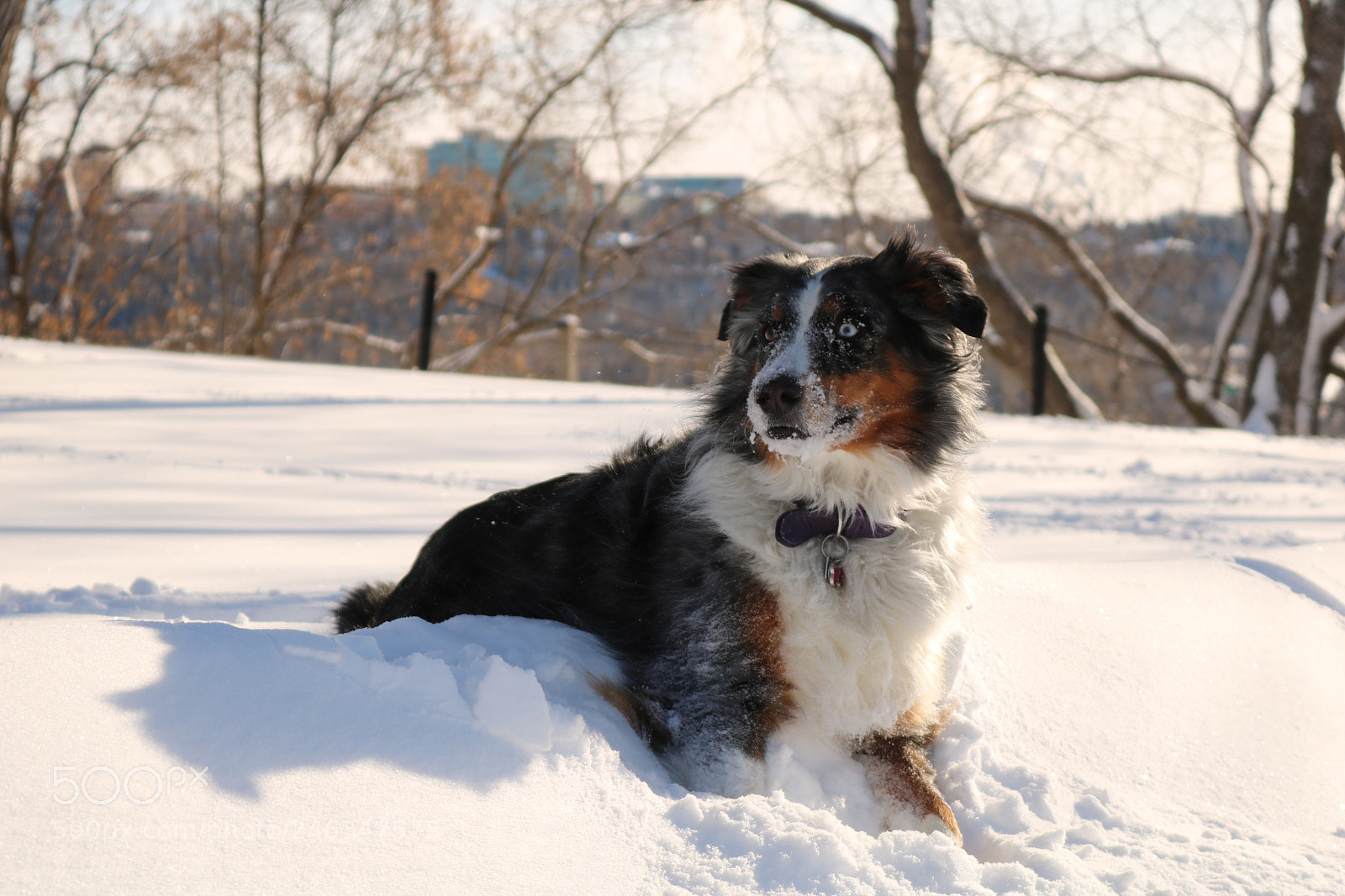 Canon EOS 750D (EOS Rebel T6i / EOS Kiss X8i) sample photo. A walk in the photography