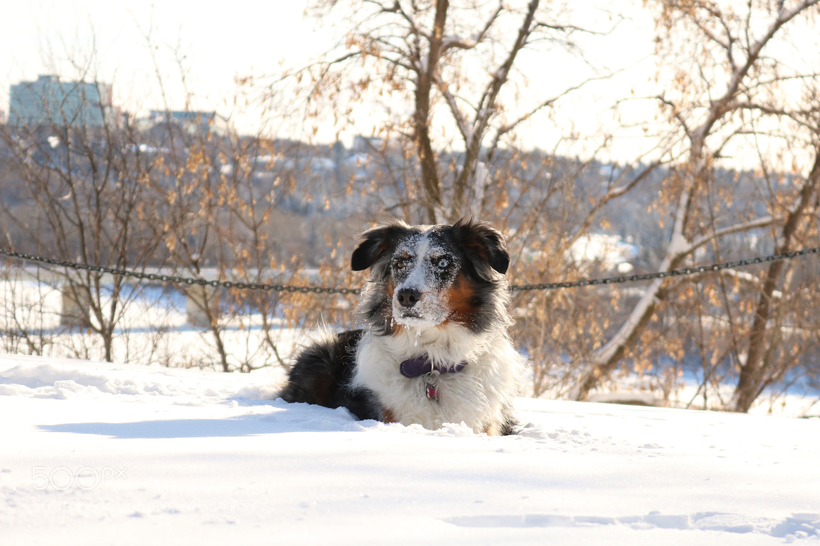 Canon EOS 750D (EOS Rebel T6i / EOS Kiss X8i) sample photo. A walk in the photography
