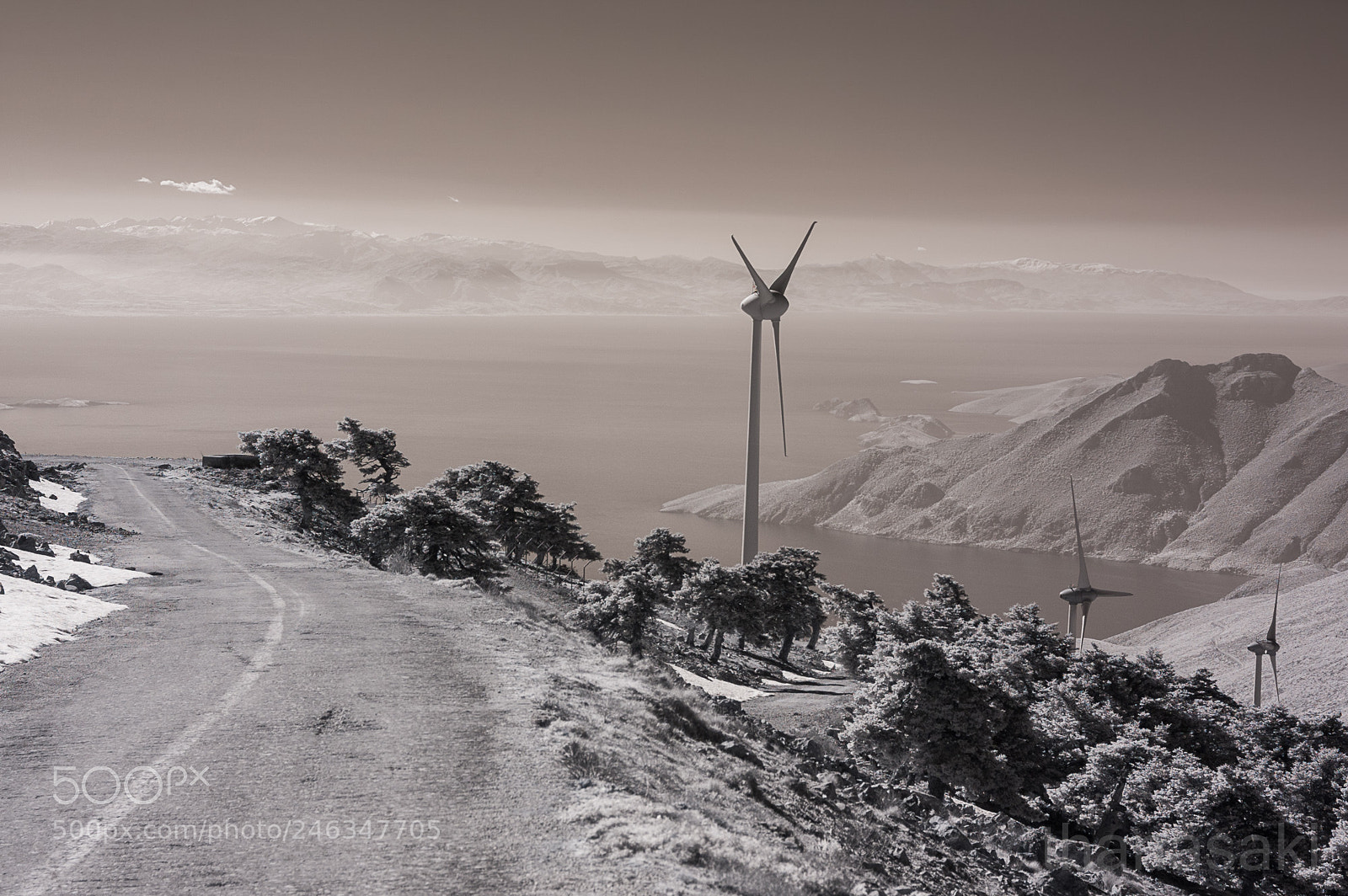 Nikon D70s sample photo. On mountaintop ir photography