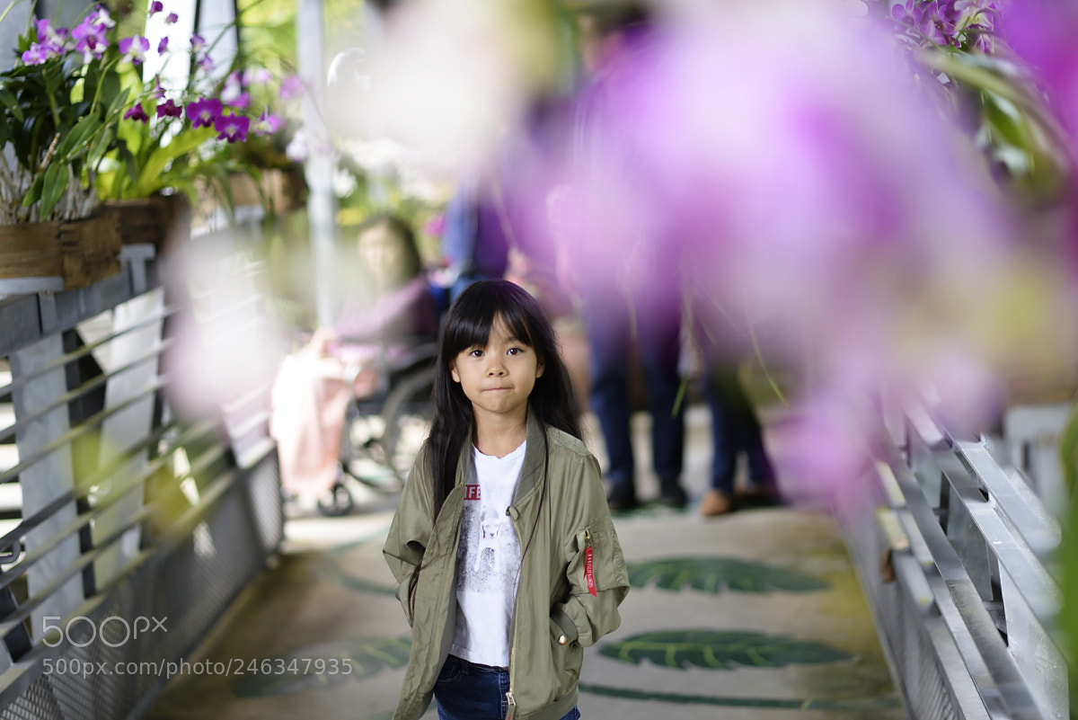 Nikon D610 sample photo. Day photography