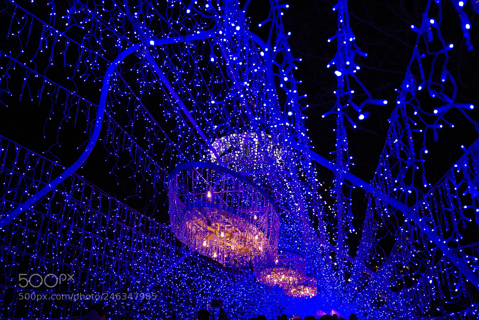 Pentax K-1 sample photo. Light shower photography