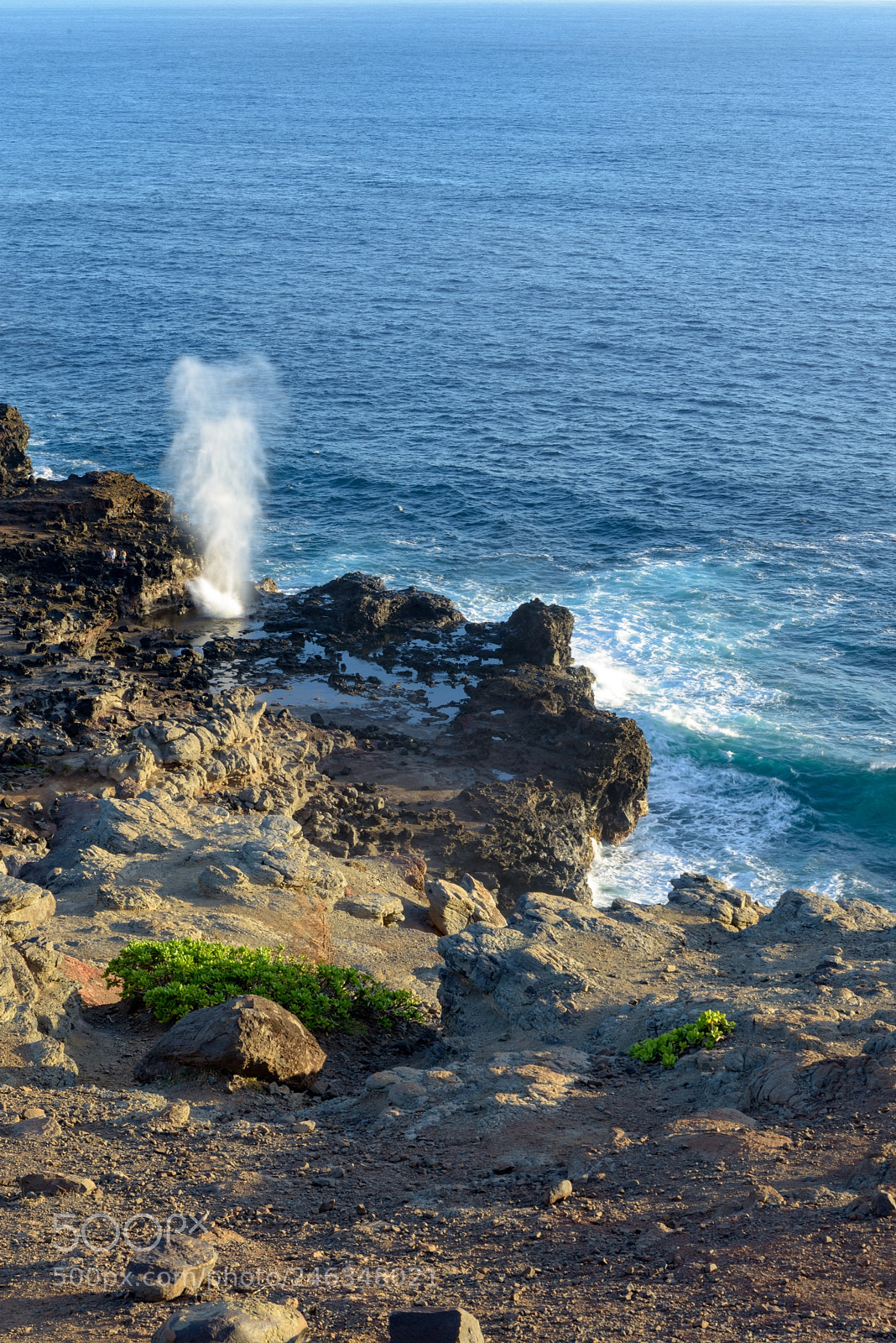 Nikon D810 sample photo. Nakalele blowhole photography