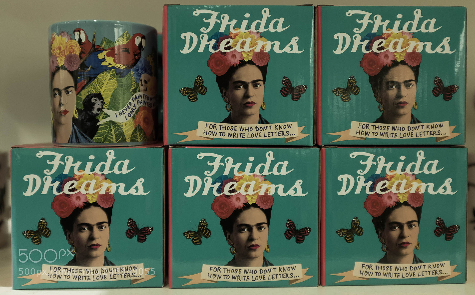 Fujifilm X100T sample photo. Frida photography