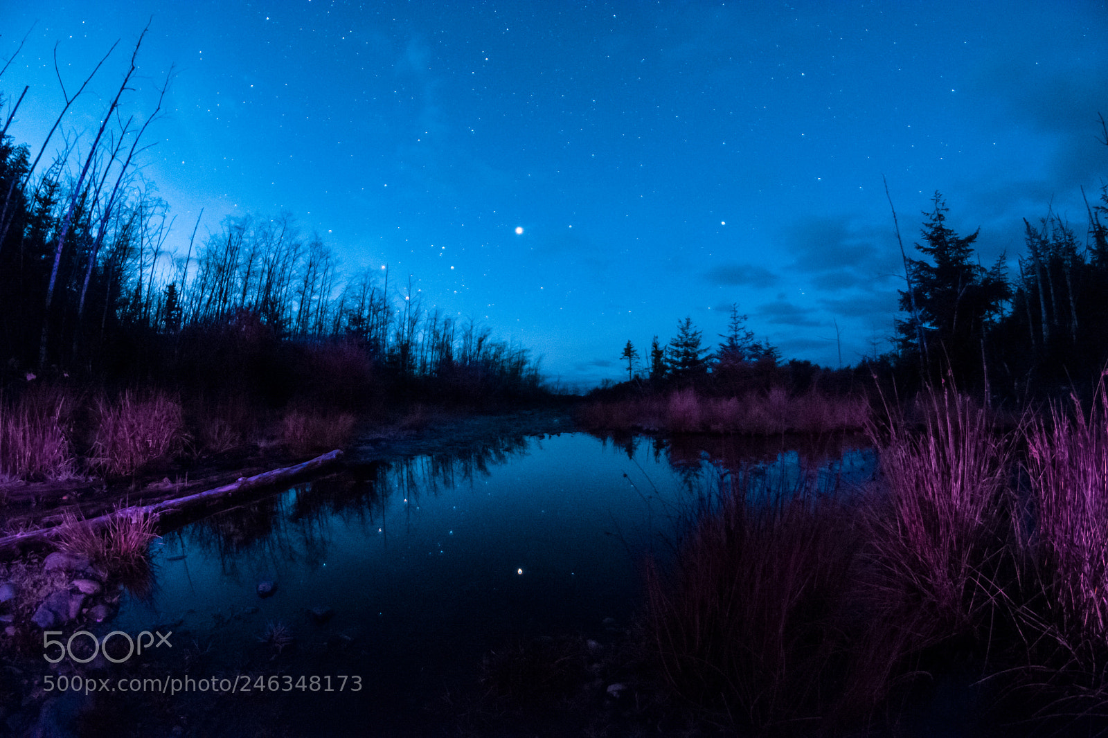 Nikon D7100 sample photo. Morning stars photography
