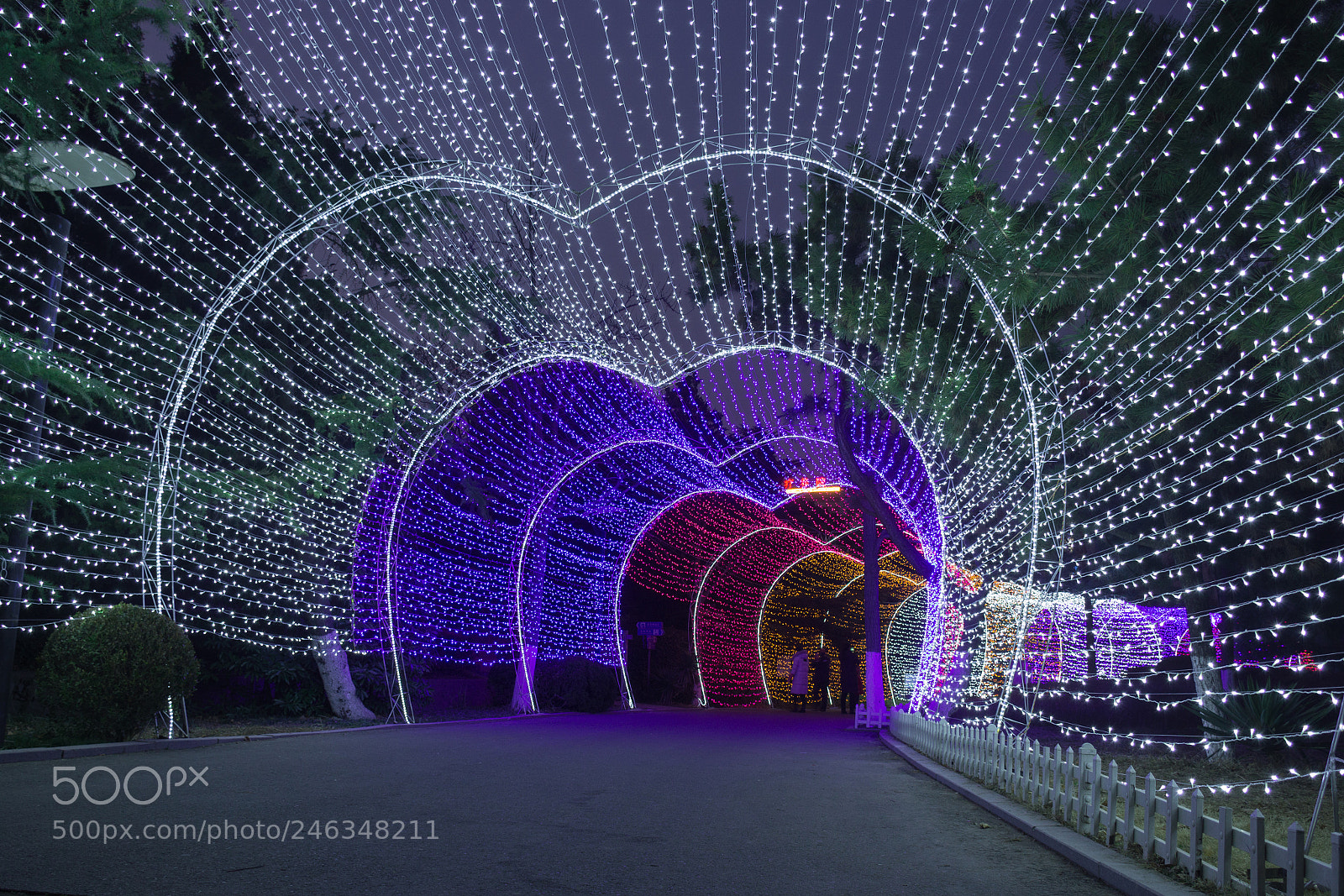 Nikon D5200 sample photo. Walking by the light photography