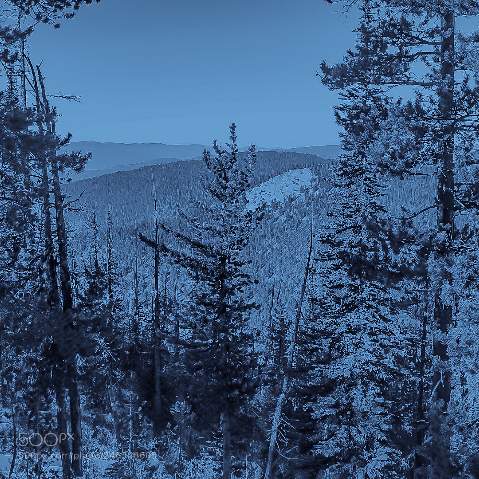 Nikon Coolpix P900 sample photo. Phenomenal vista photography