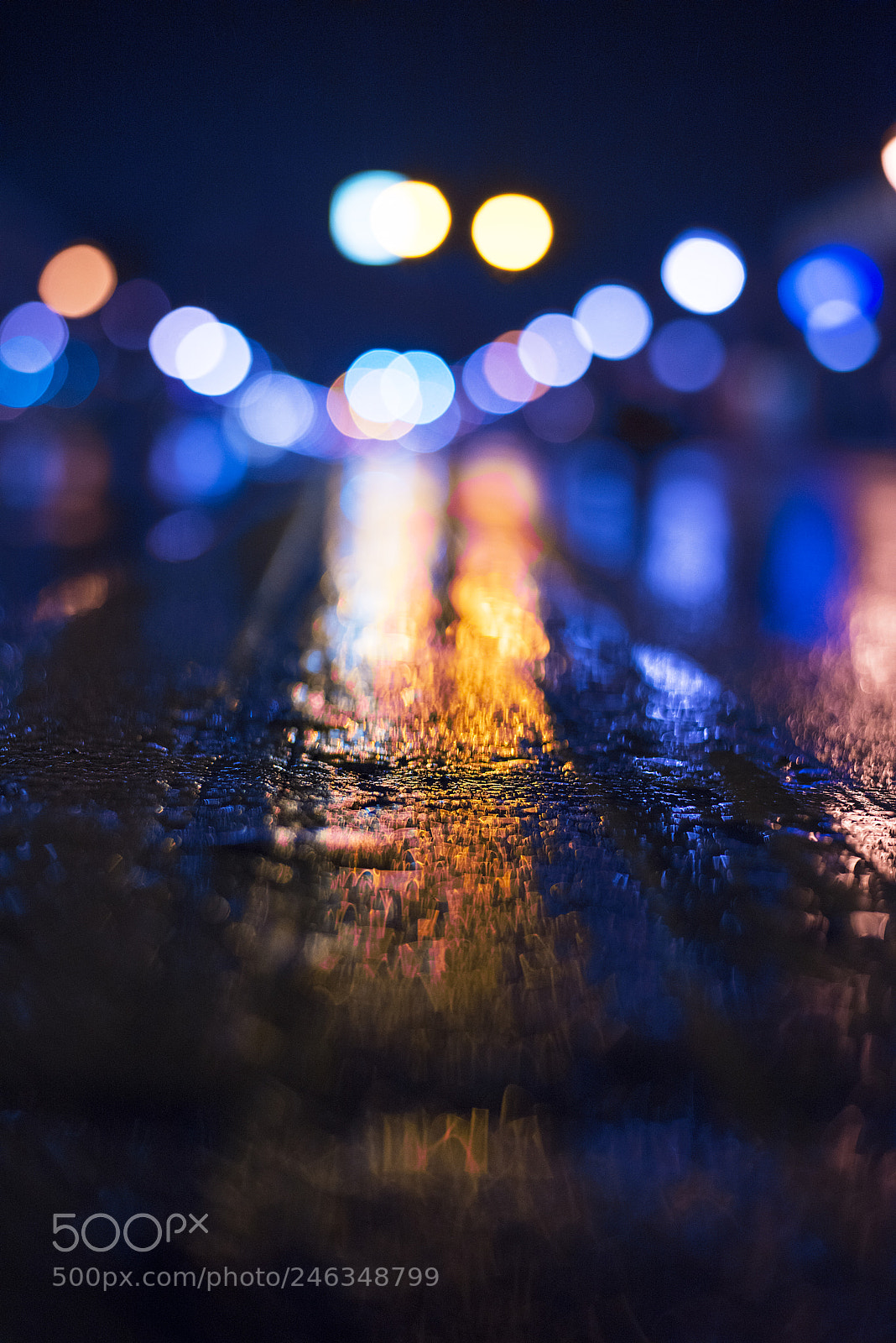 Nikon D810 sample photo. Deep photography