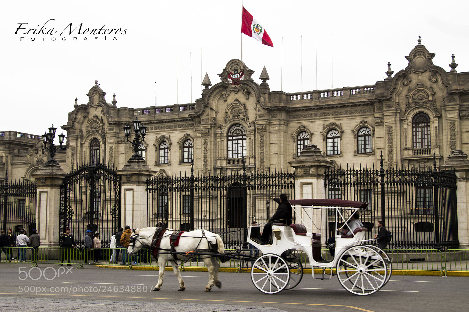 Canon EOS 1100D (EOS Rebel T3 / EOS Kiss X50) sample photo. Caballo lima photography