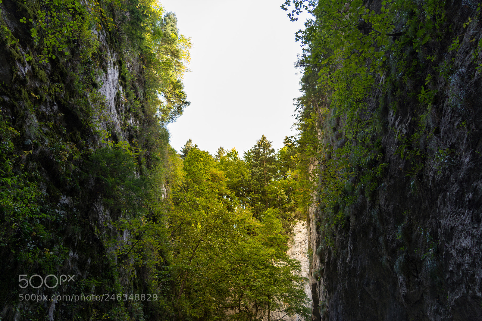 Nikon D5200 sample photo. A gorge inside out photography