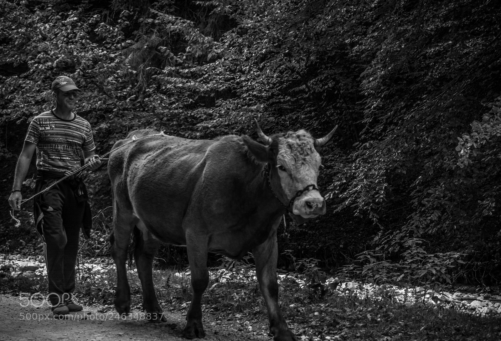 Nikon D5200 sample photo. Heading home part 2 photography