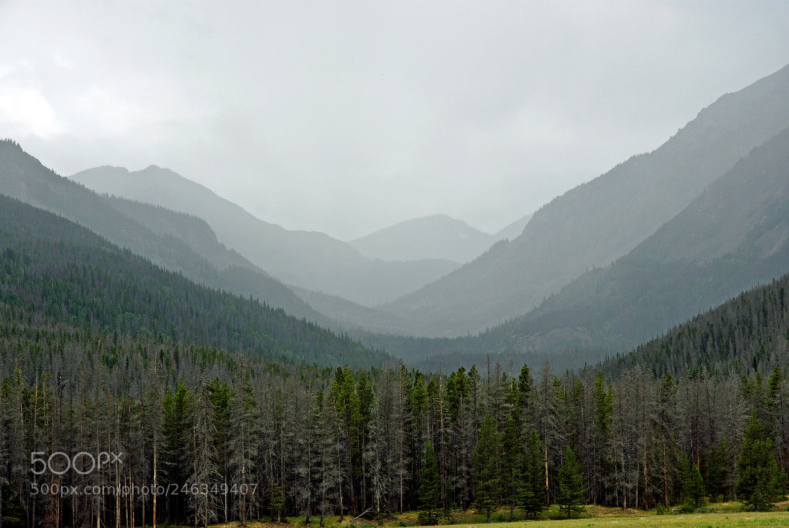 Nikon D200 sample photo. Bowen mountain in summer photography