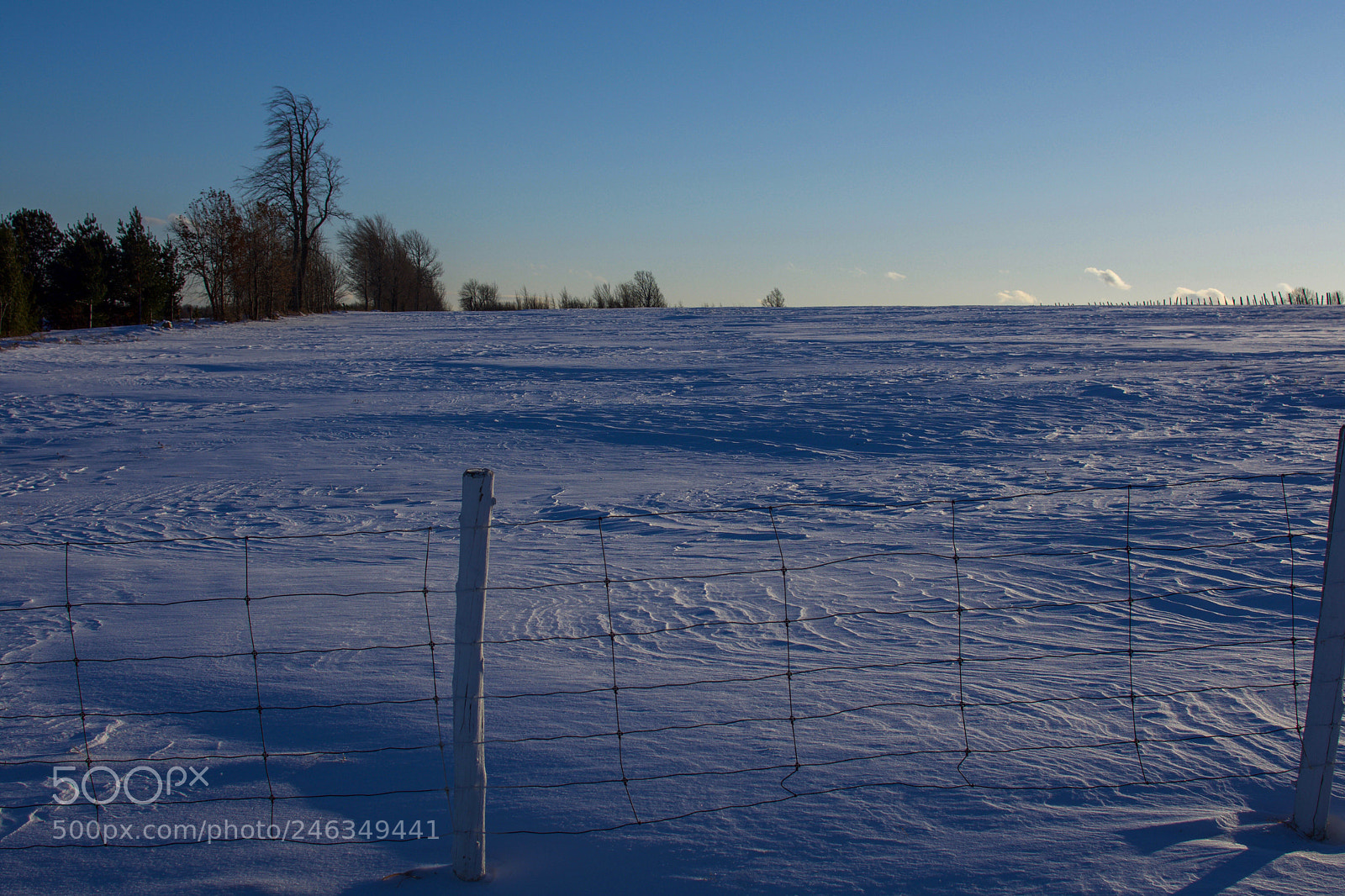 Nikon D7200 sample photo. Do photography