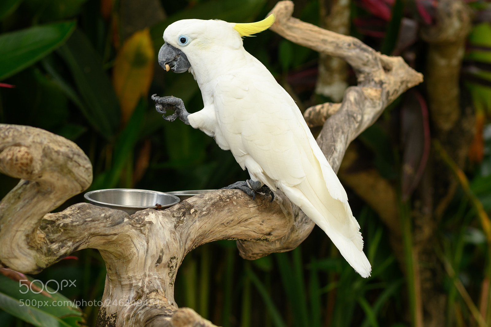 Nikon D7500 sample photo. Lunch photography