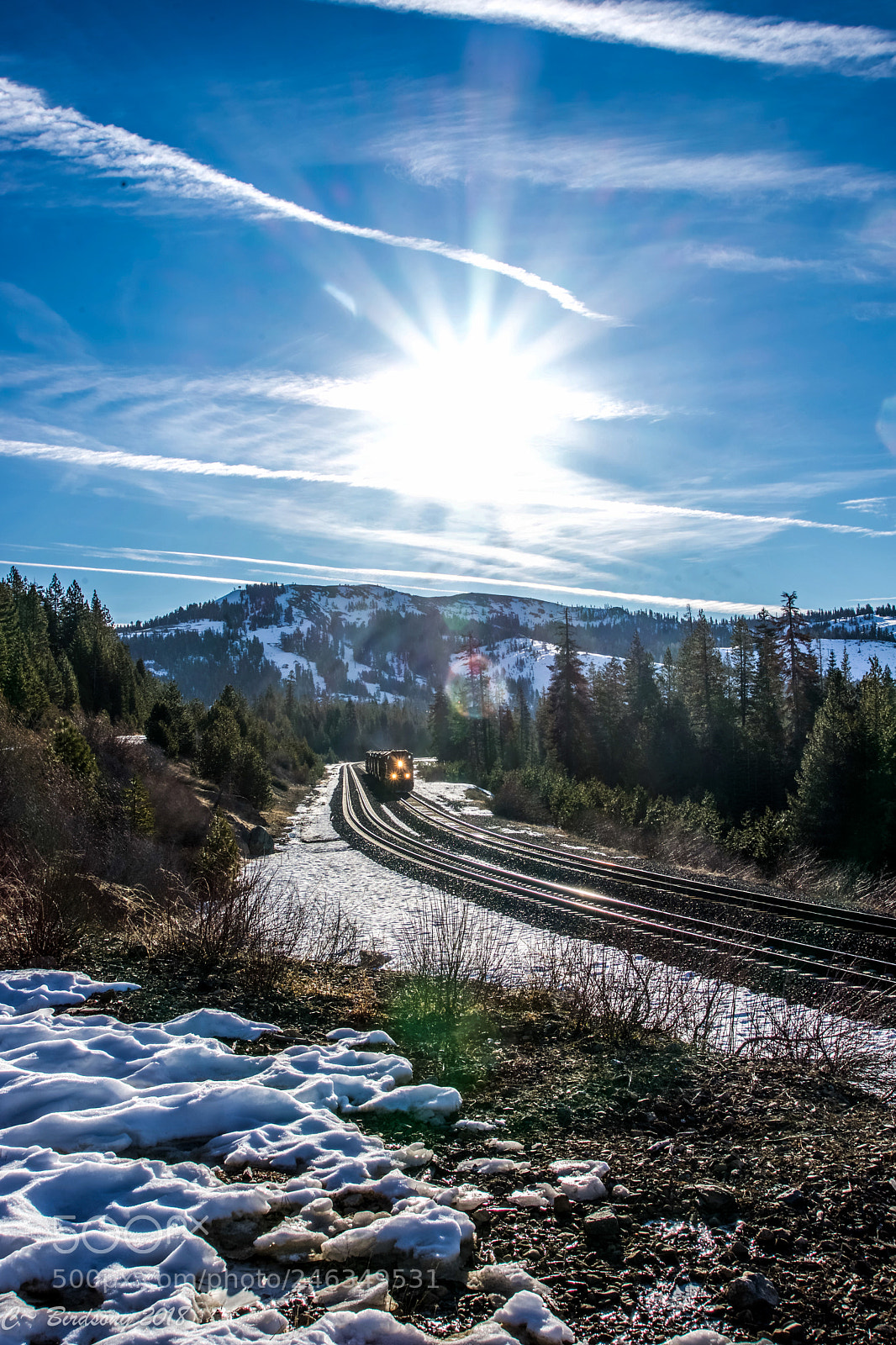 Sony a7 II sample photo. Dsc photography