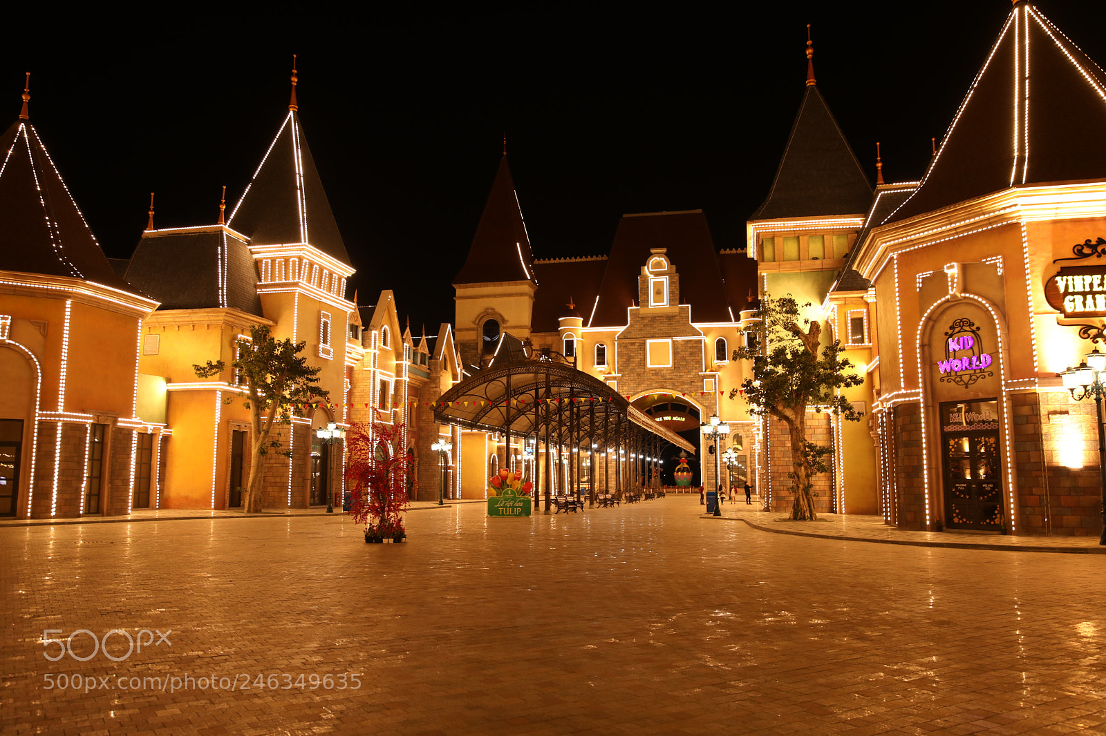 Canon EF 24-70mm F2.8L II USM sample photo. Untitled photography