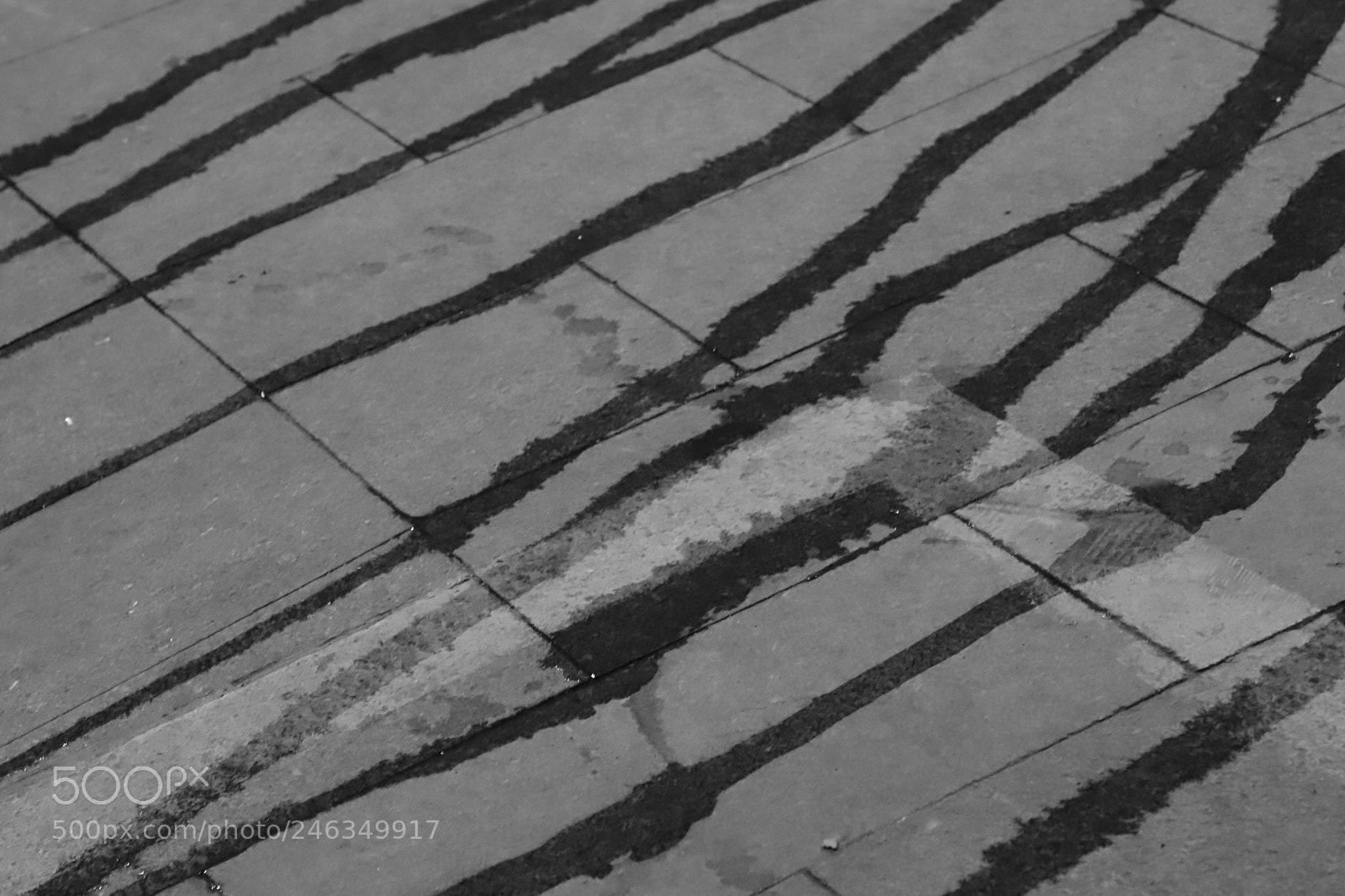 Canon EF 24-105mm F4L IS II USM sample photo. Untitled photography