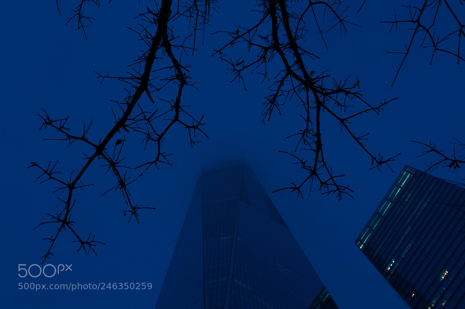 Nikon D90 sample photo. Freedom tower blue hour photography