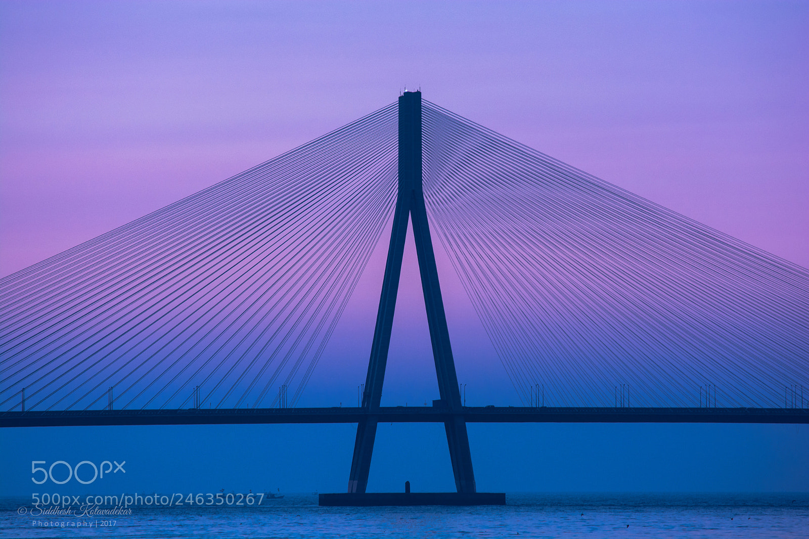 Nikon D5200 sample photo. Sealink photography