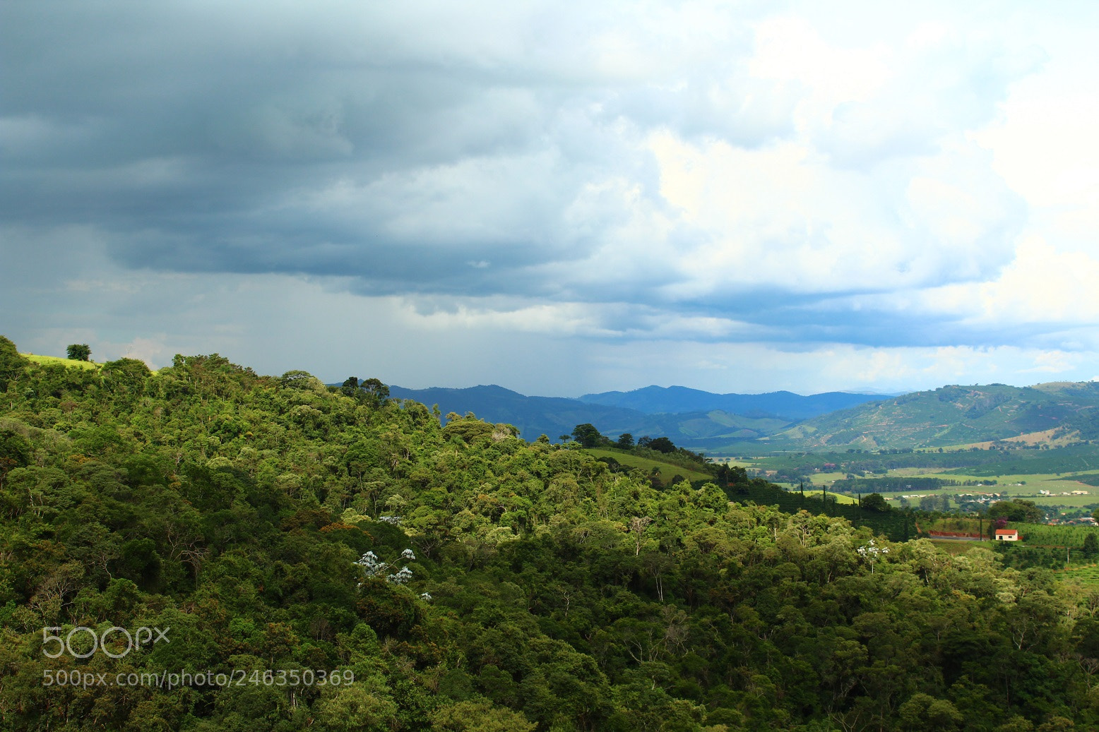 Canon EOS 1300D (EOS Rebel T6 / EOS Kiss X80) sample photo. Countryside in minas gerais photography