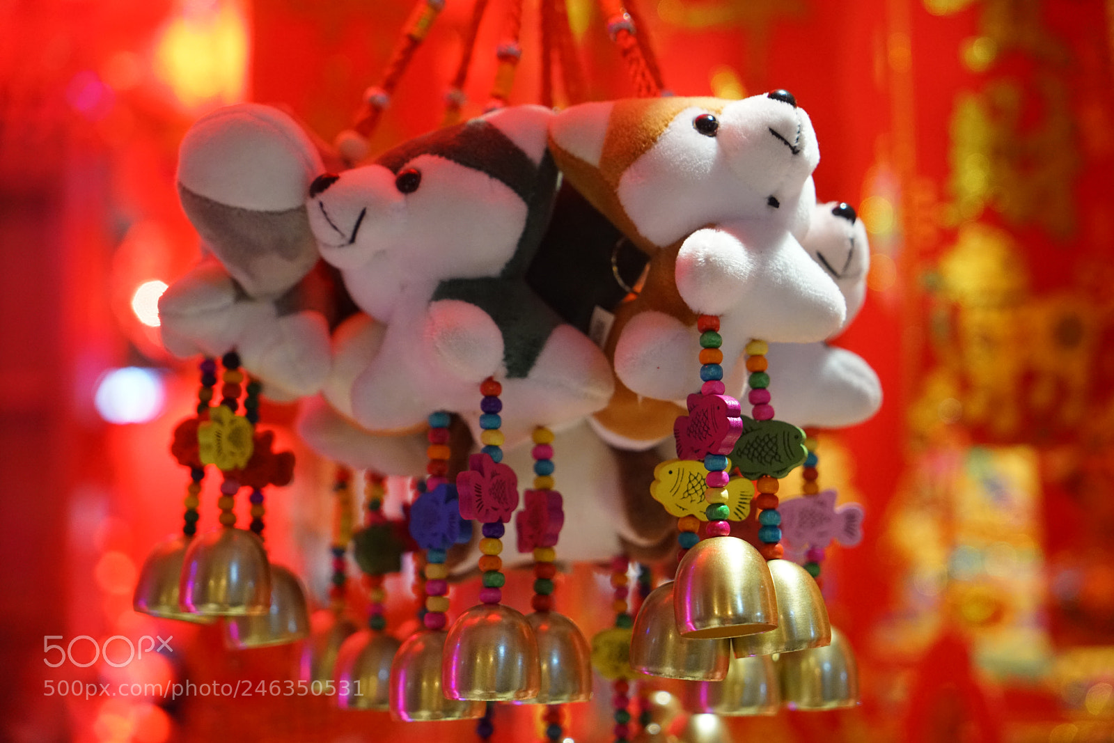 Sony a7R II sample photo. ┈for the spring festival ┈ photography