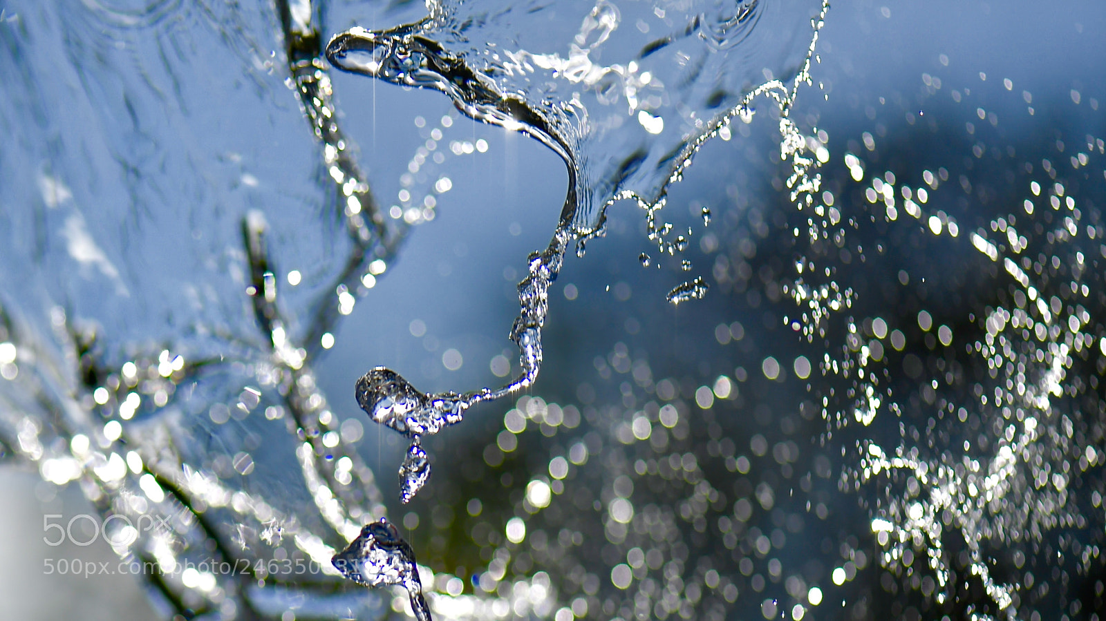 Nikon D5 sample photo. H2o photography