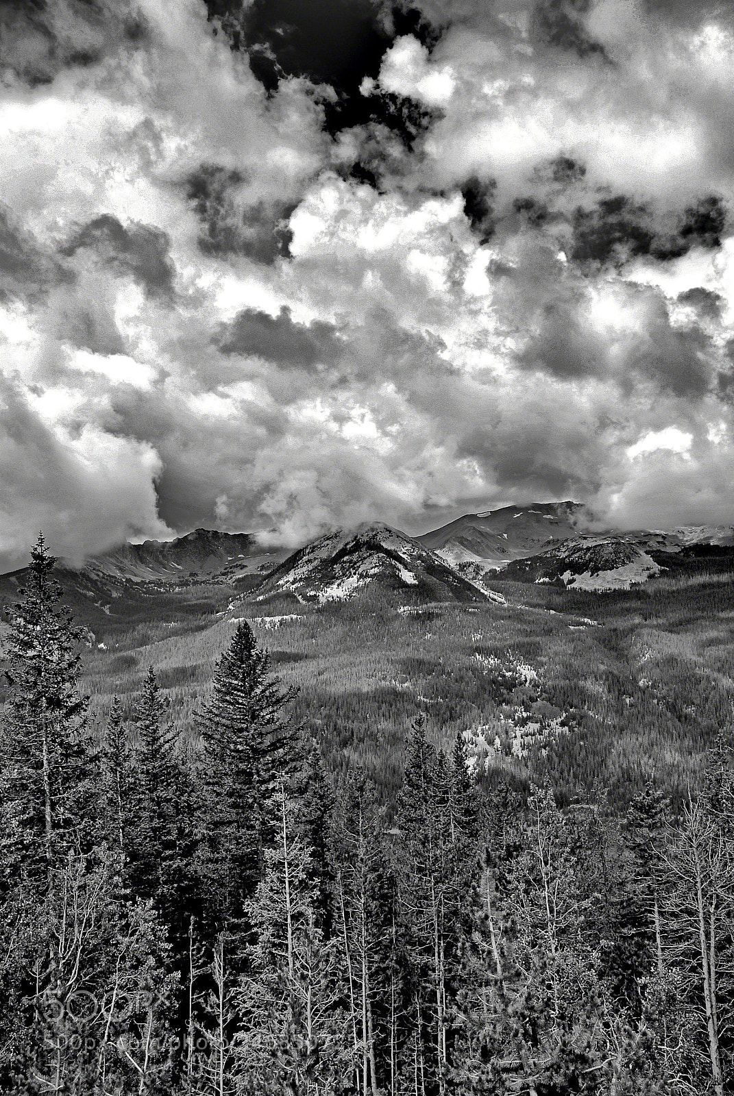 Nikon D200 sample photo. Never summer mountains photography