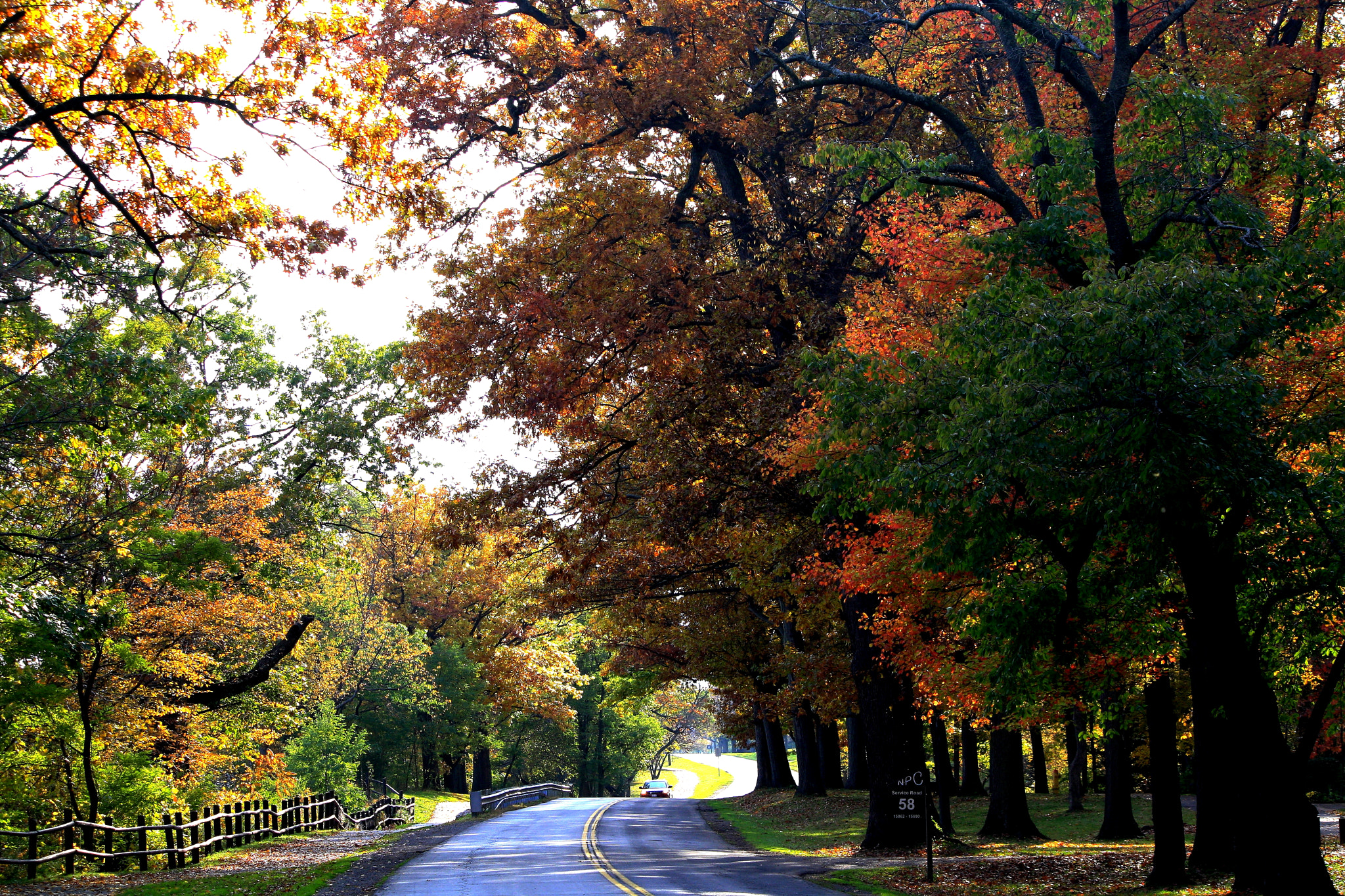 Canon EF-S 55-250mm F4-5.6 IS sample photo. Autumn photography