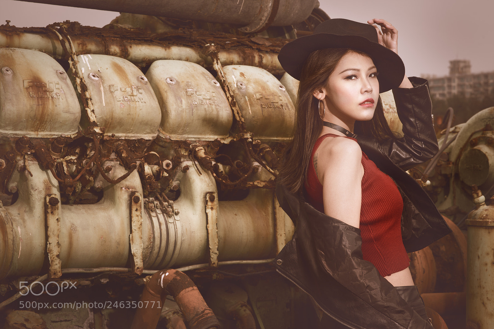 Nikon D810 sample photo. Brown tone photography