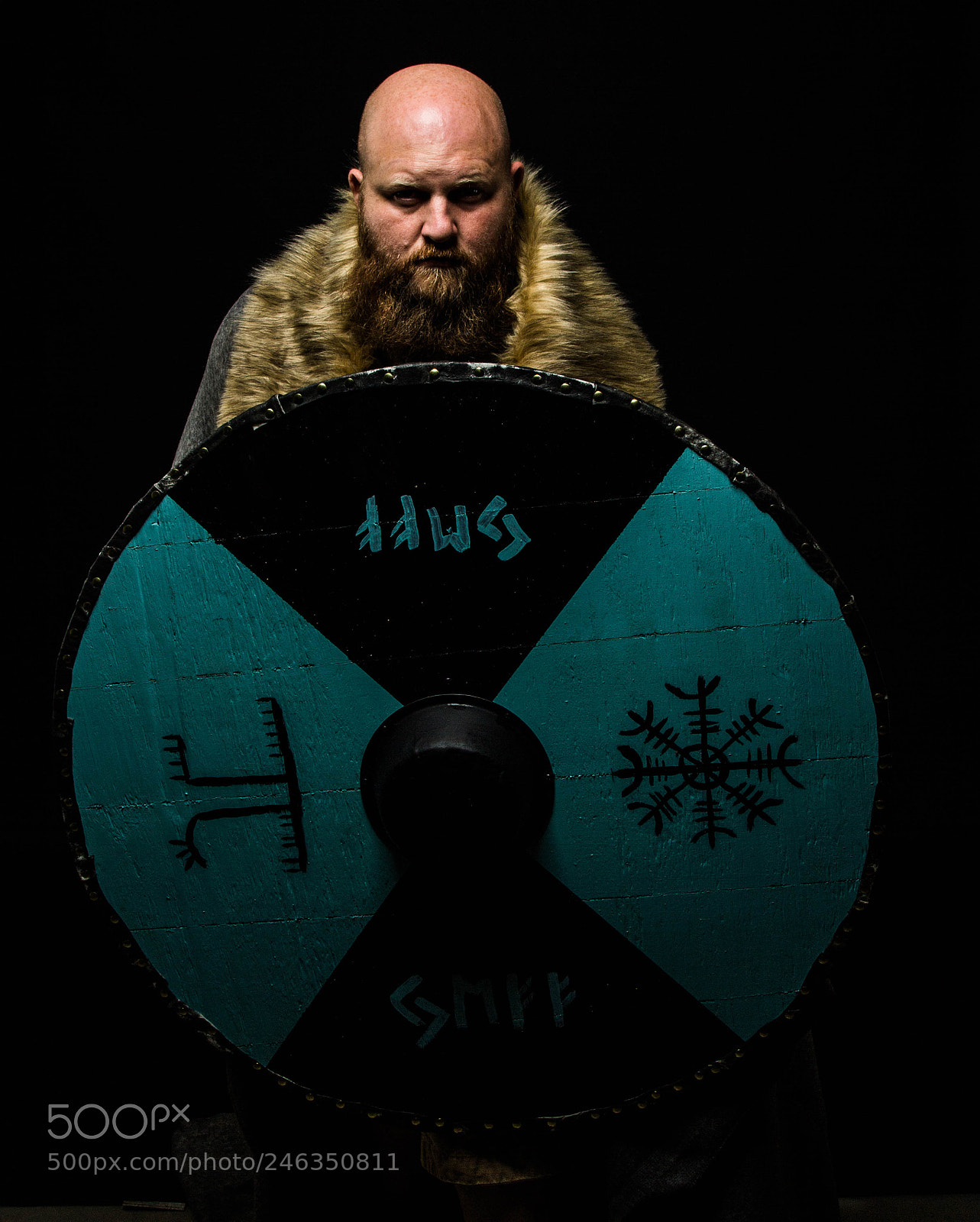 Canon EOS 60D sample photo. Viking photography