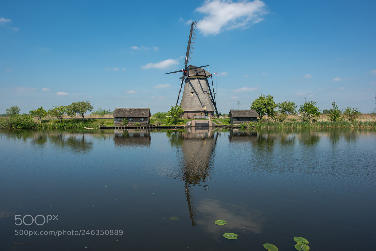 Nikon D810 sample photo. Kinderdijk photography