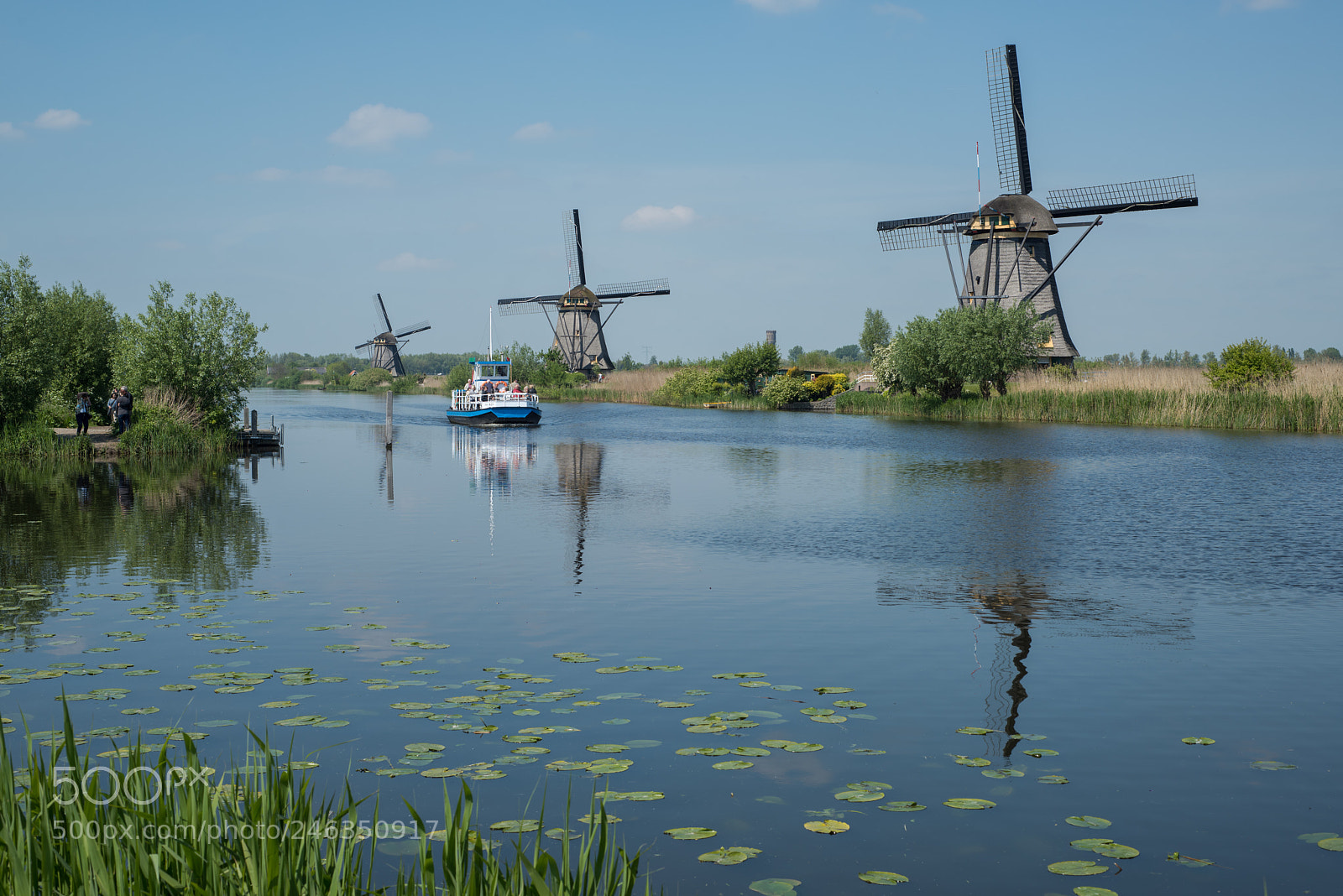 Nikon D810 sample photo. Kinderdijk photography