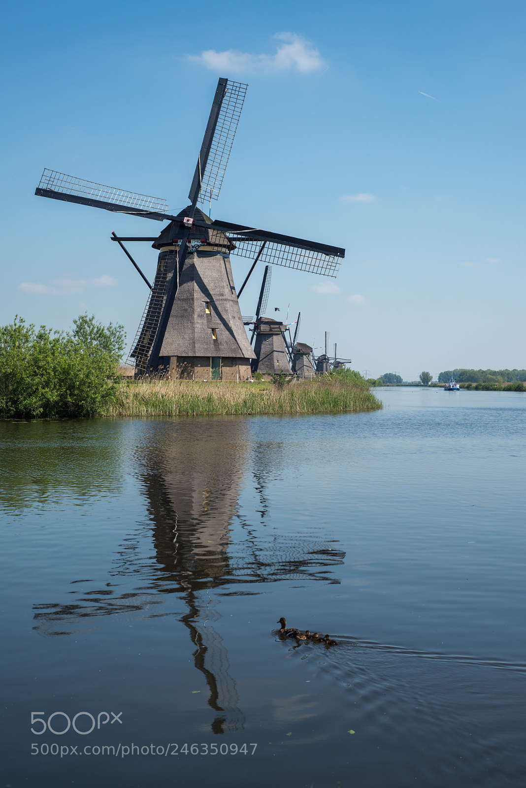 Nikon D810 sample photo. Kinderdijk photography