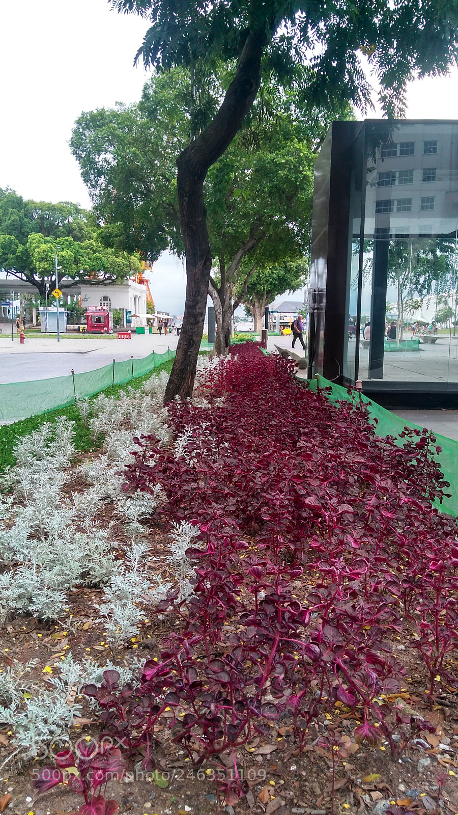 Motorola Moto G Play sample photo. Untitled photography